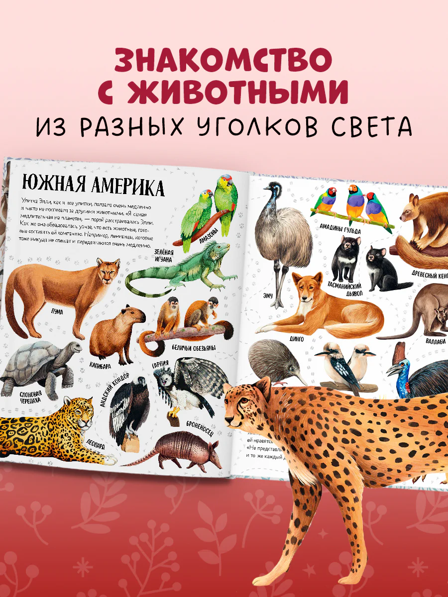 Первые книжки малыша. Приключения улитки Элли в мире животных (мягкая обложка) - Image 3