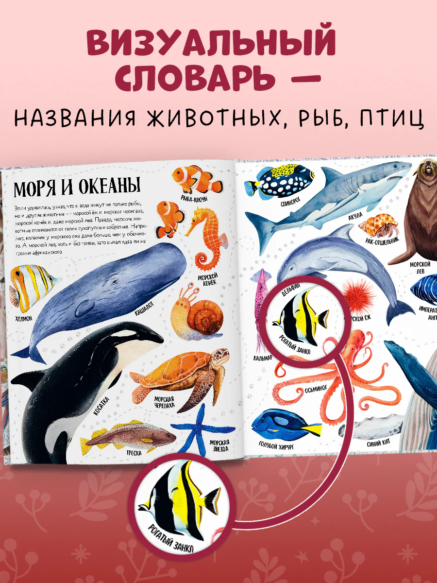 Первые книжки малыша. Приключения улитки Элли в мире животных (мягкая обложка) - Image 4