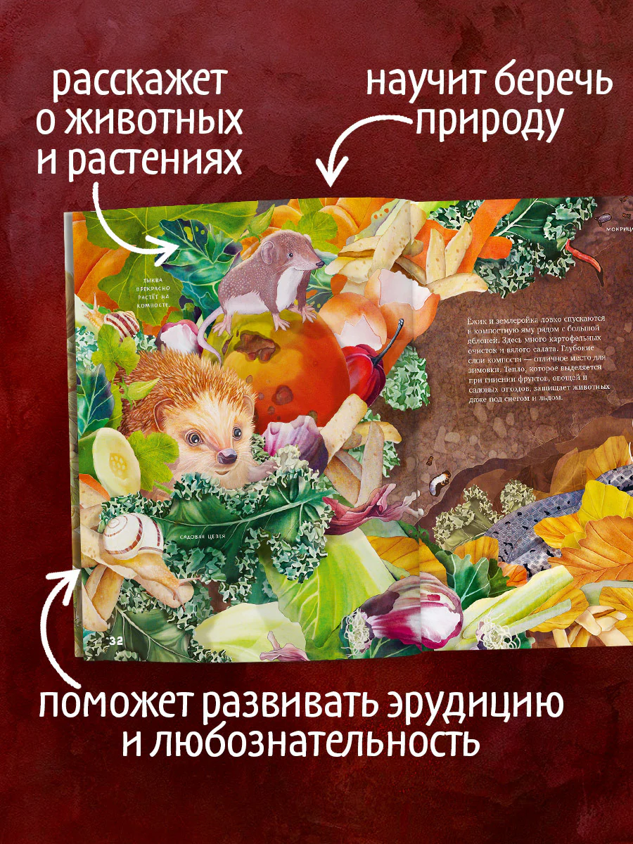 Удивительные энциклопедии. Секреты осеннего леса. Визуальная энциклопедия - Image 2