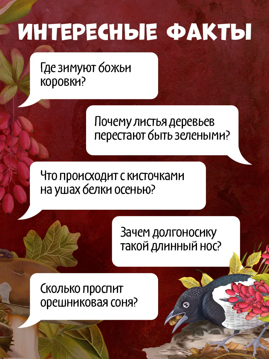 Удивительные энциклопедии. Секреты осеннего леса. Визуальная энциклопедия - Image 4