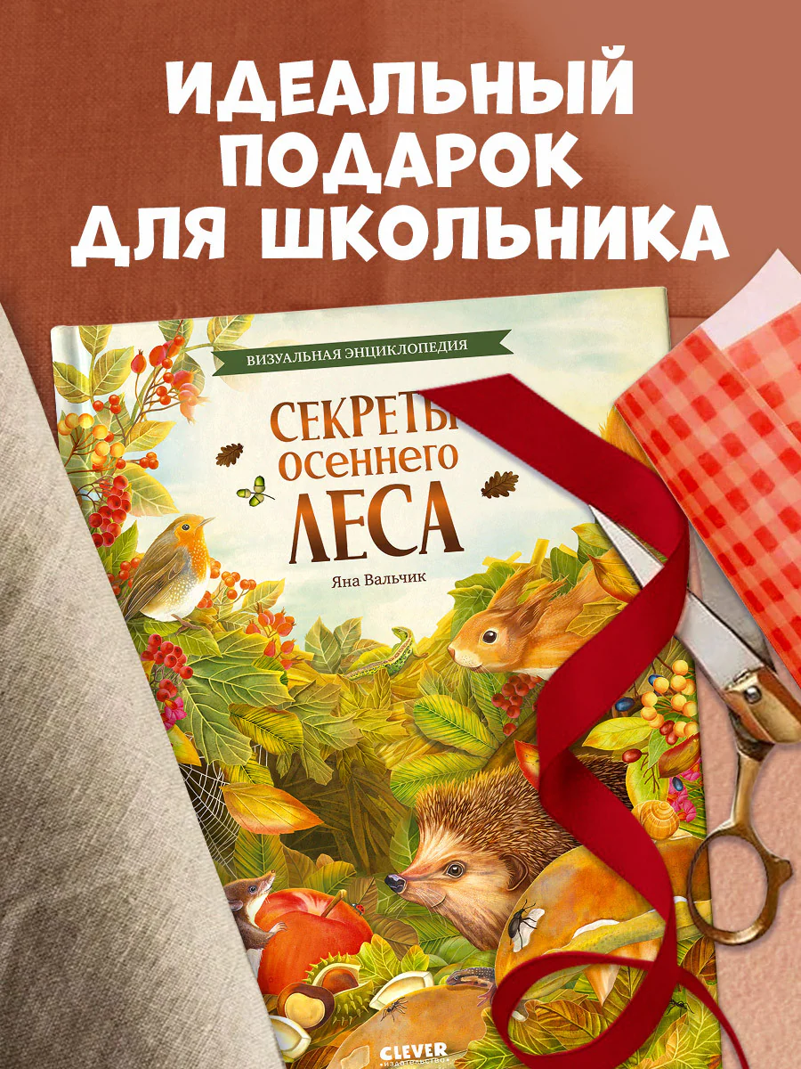 Удивительные энциклопедии. Секреты осеннего леса. Визуальная энциклопедия - Image 5