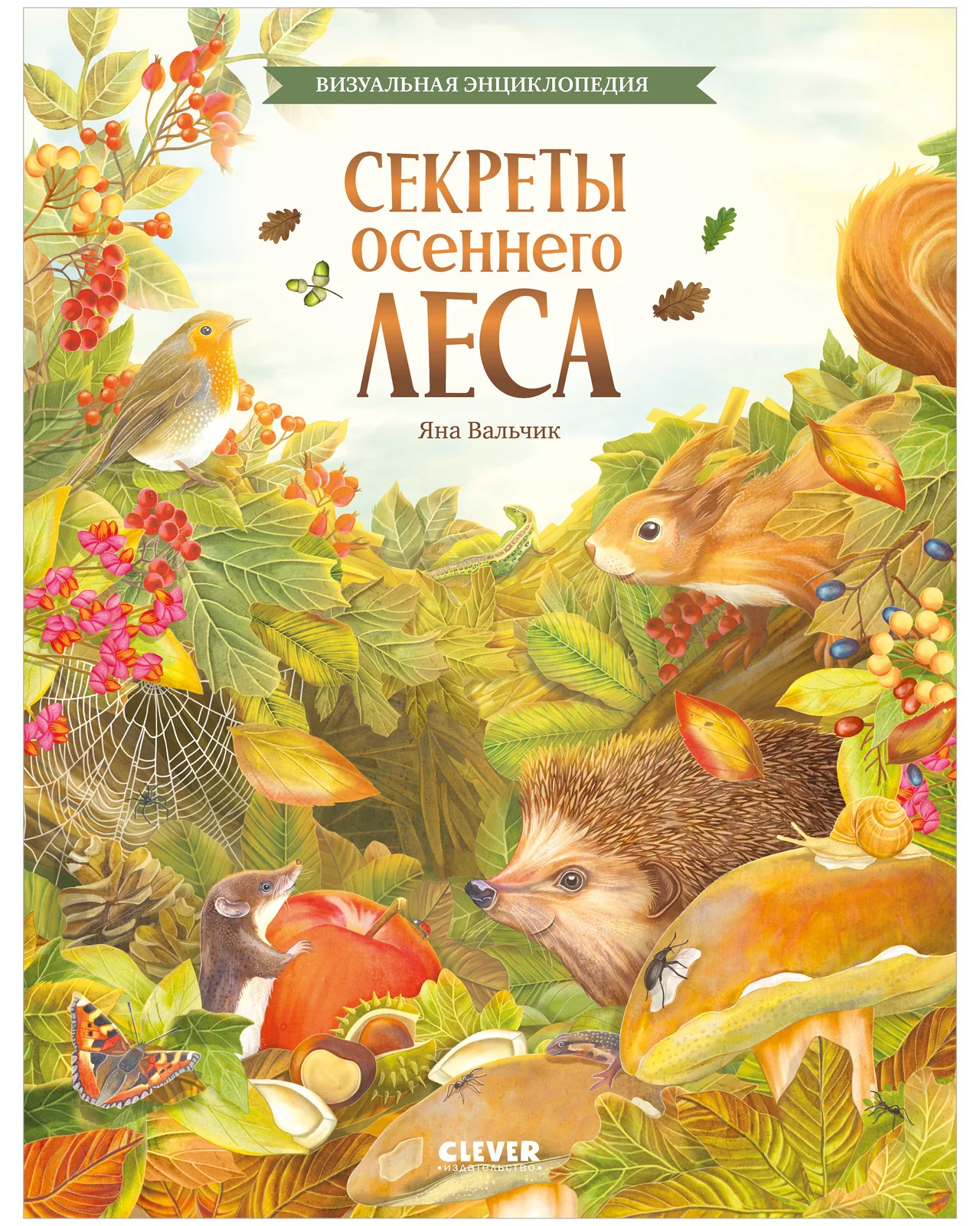 Удивительные энциклопедии. Секреты осеннего леса. Визуальная энциклопедия - Image 7