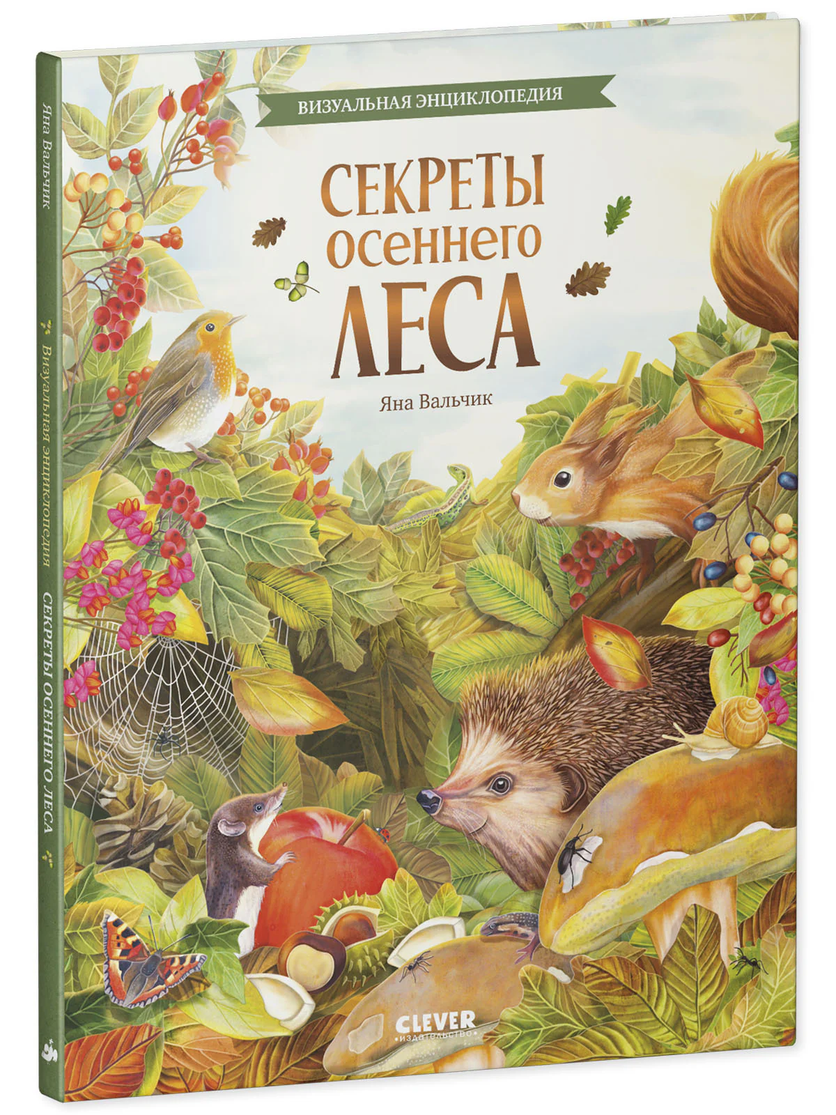 Удивительные энциклопедии. Секреты осеннего леса. Визуальная энциклопедия - Image 8