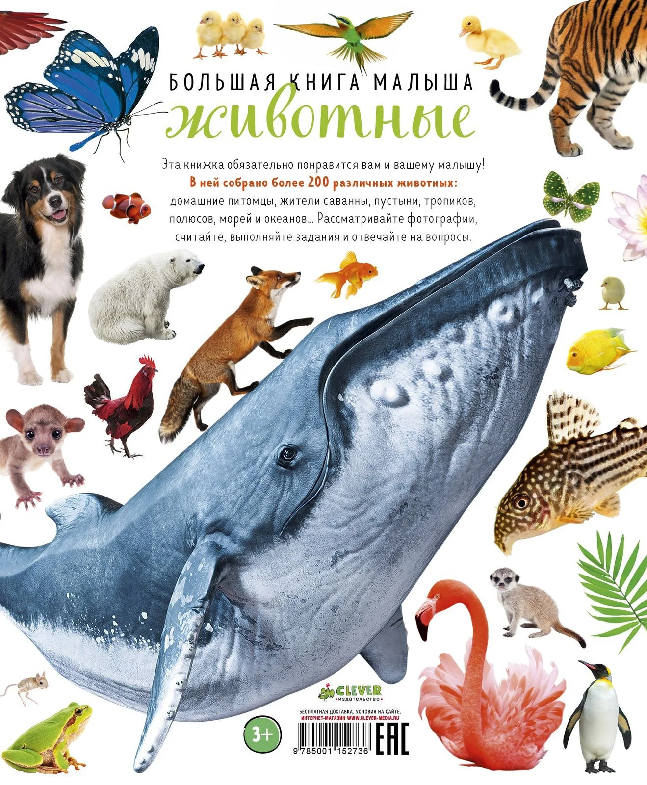 Большая книга малыша. Животные - Image 9