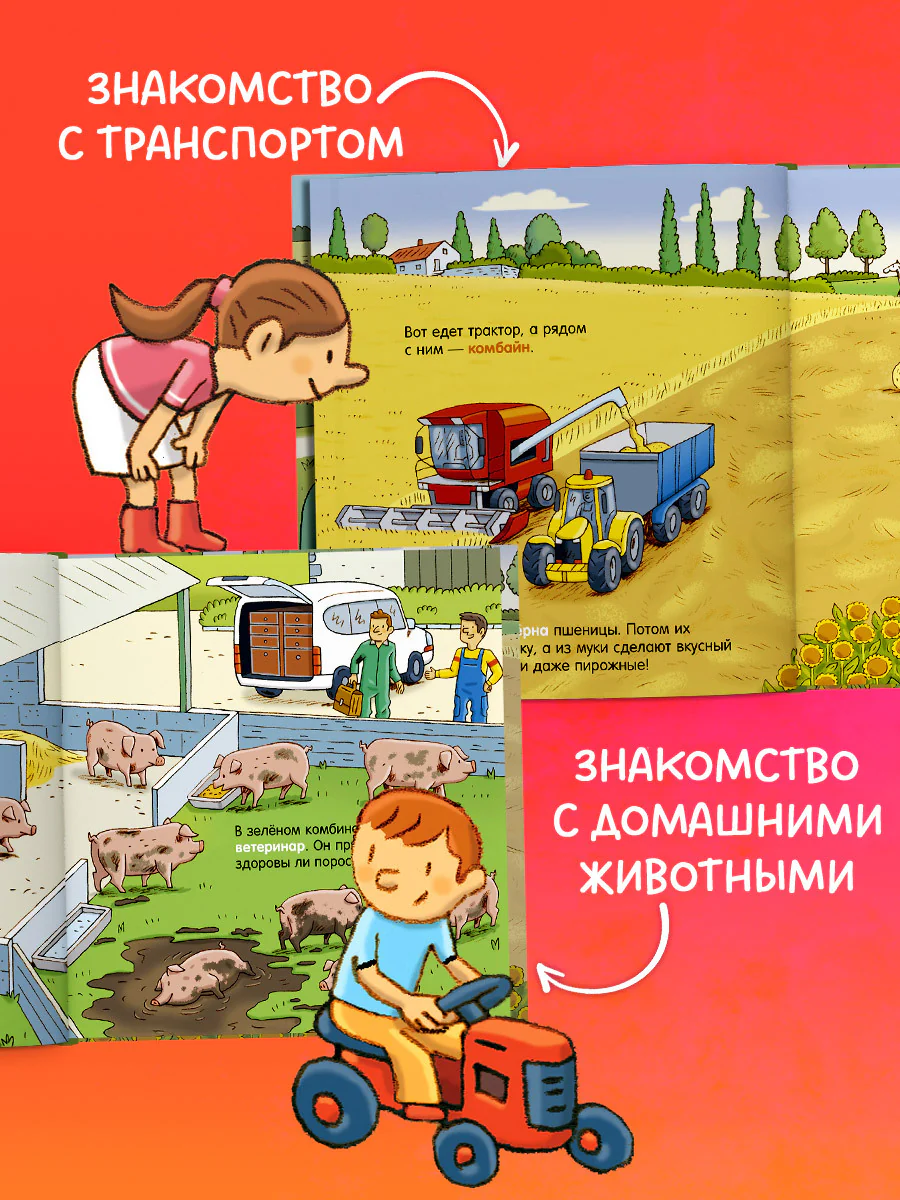 Книжка с окошками. Лес - Image 2