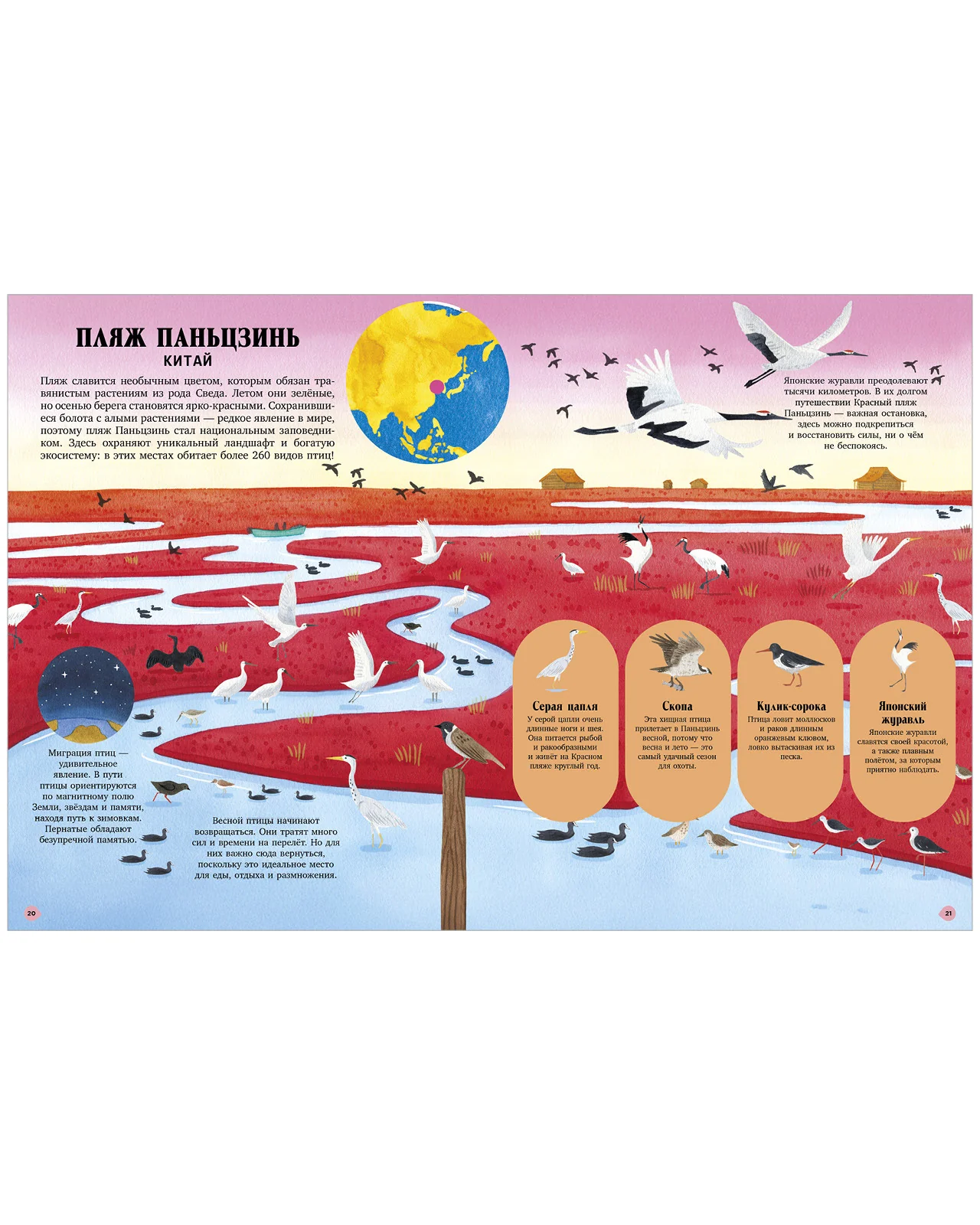 Большая энциклопедия CLEVER. Удивительные животные и где они обитают - Image 10