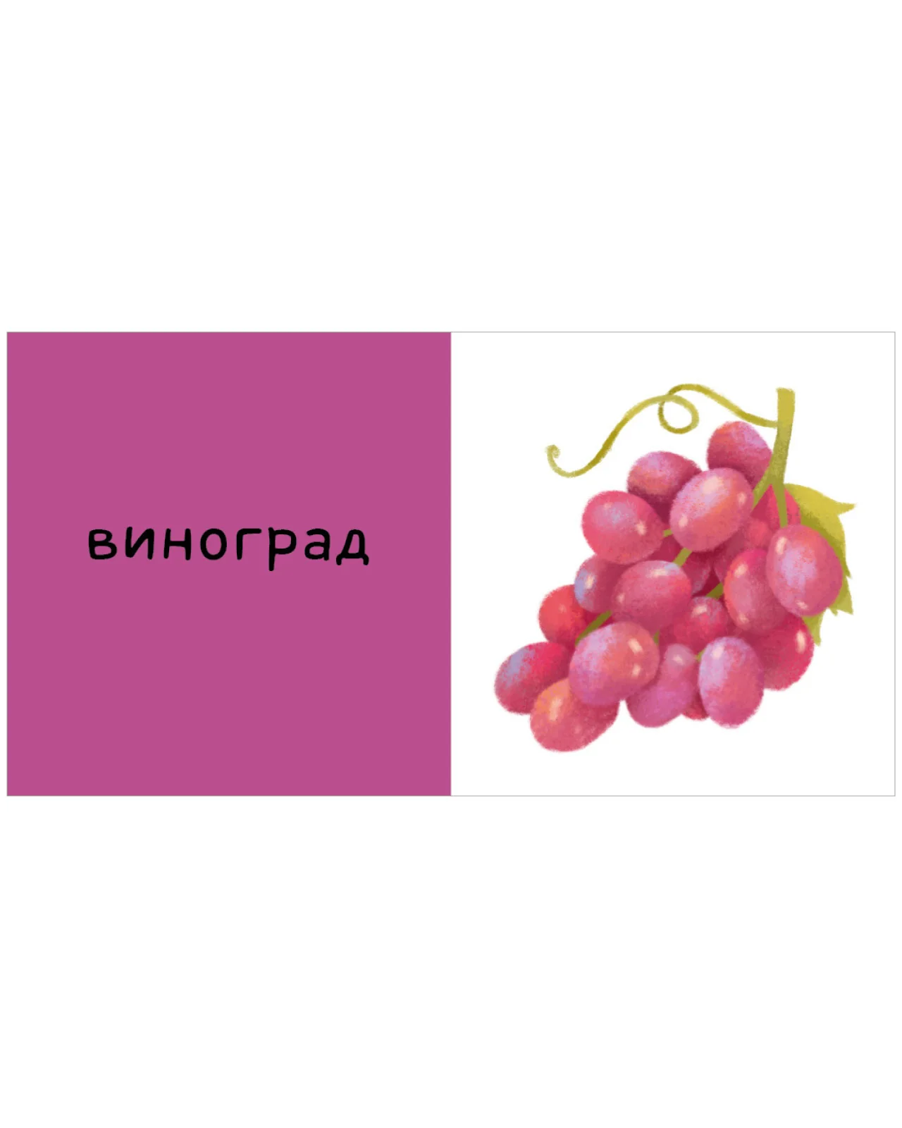 Мои первые слова. 15 книжек-кубиков. Развитие речи - Image 18
