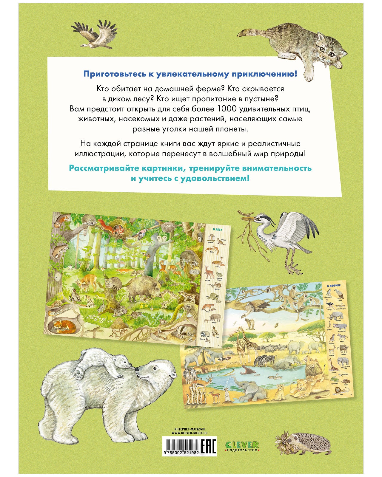 Найди и покажи. 1000 животных - Image 16