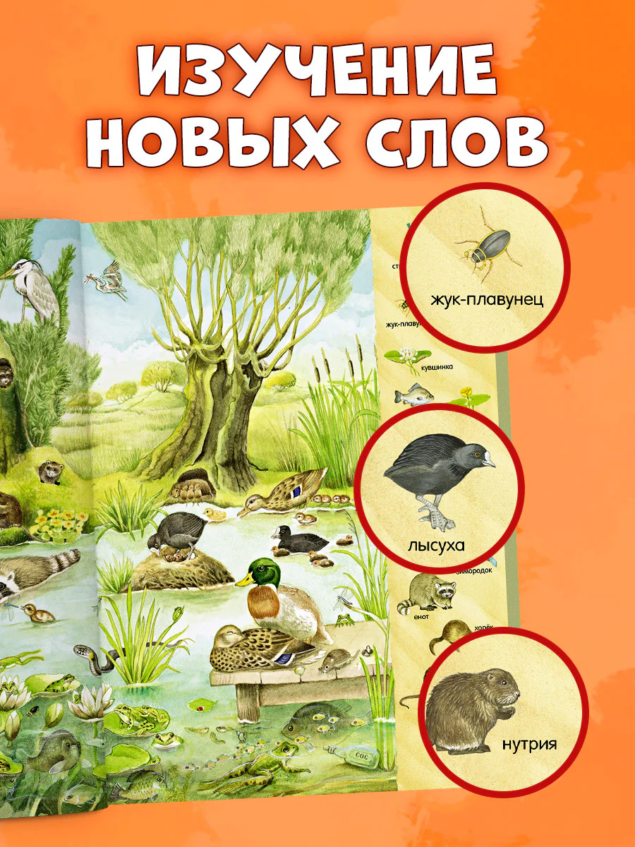 Найди и покажи. 1000 животных - Image 3