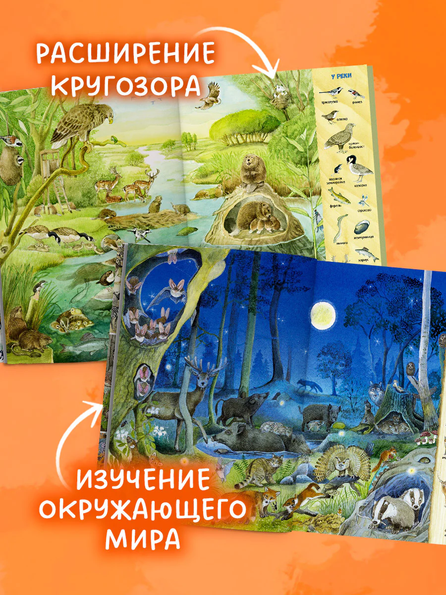Найди и покажи. 1000 животных - Image 5
