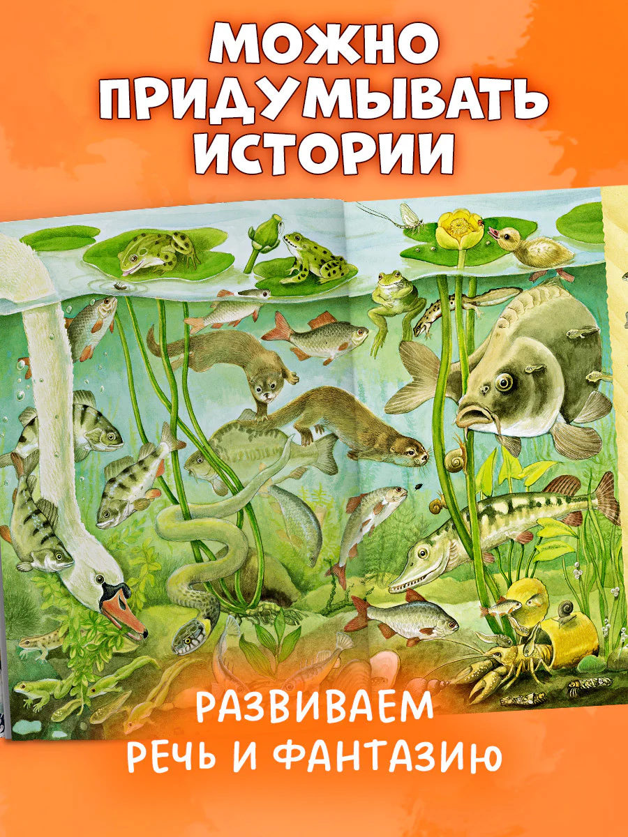 Найди и покажи. 1000 животных - Image 6