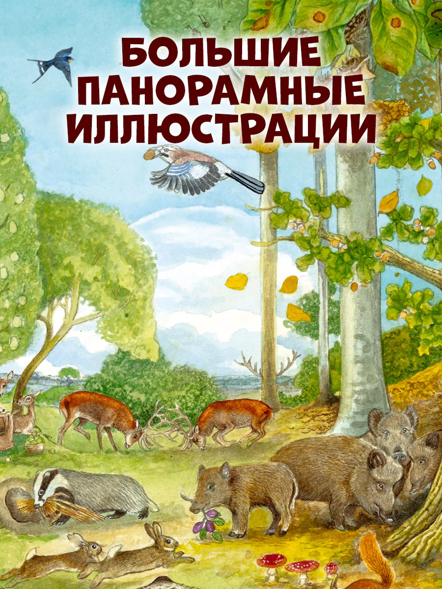 Найди и покажи. 1000 животных - Image 9
