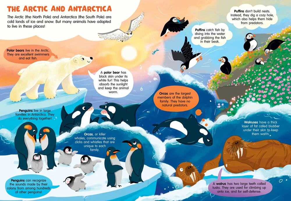 100 Facts about Animals - Image 3