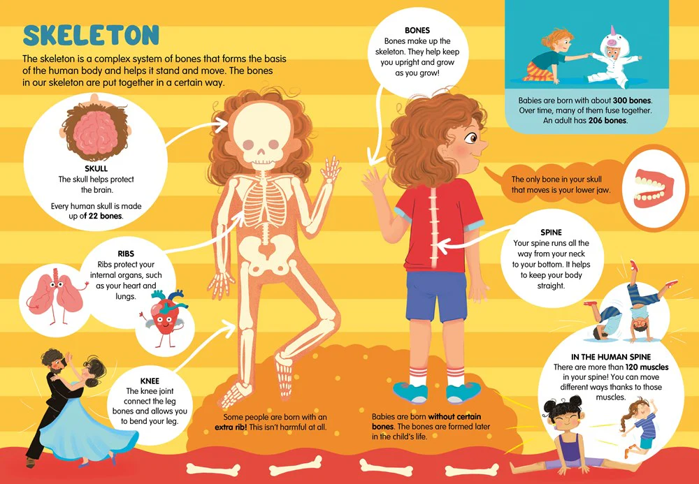 100 Facts about My Body - Image 3