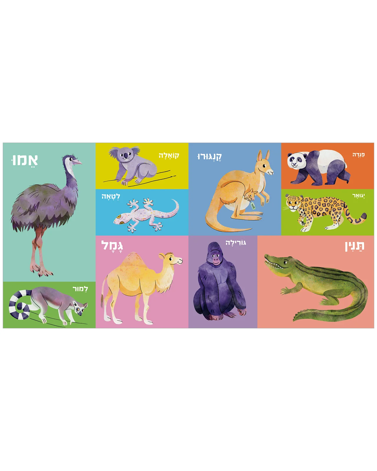 100 חיות ראשונות - Image 5