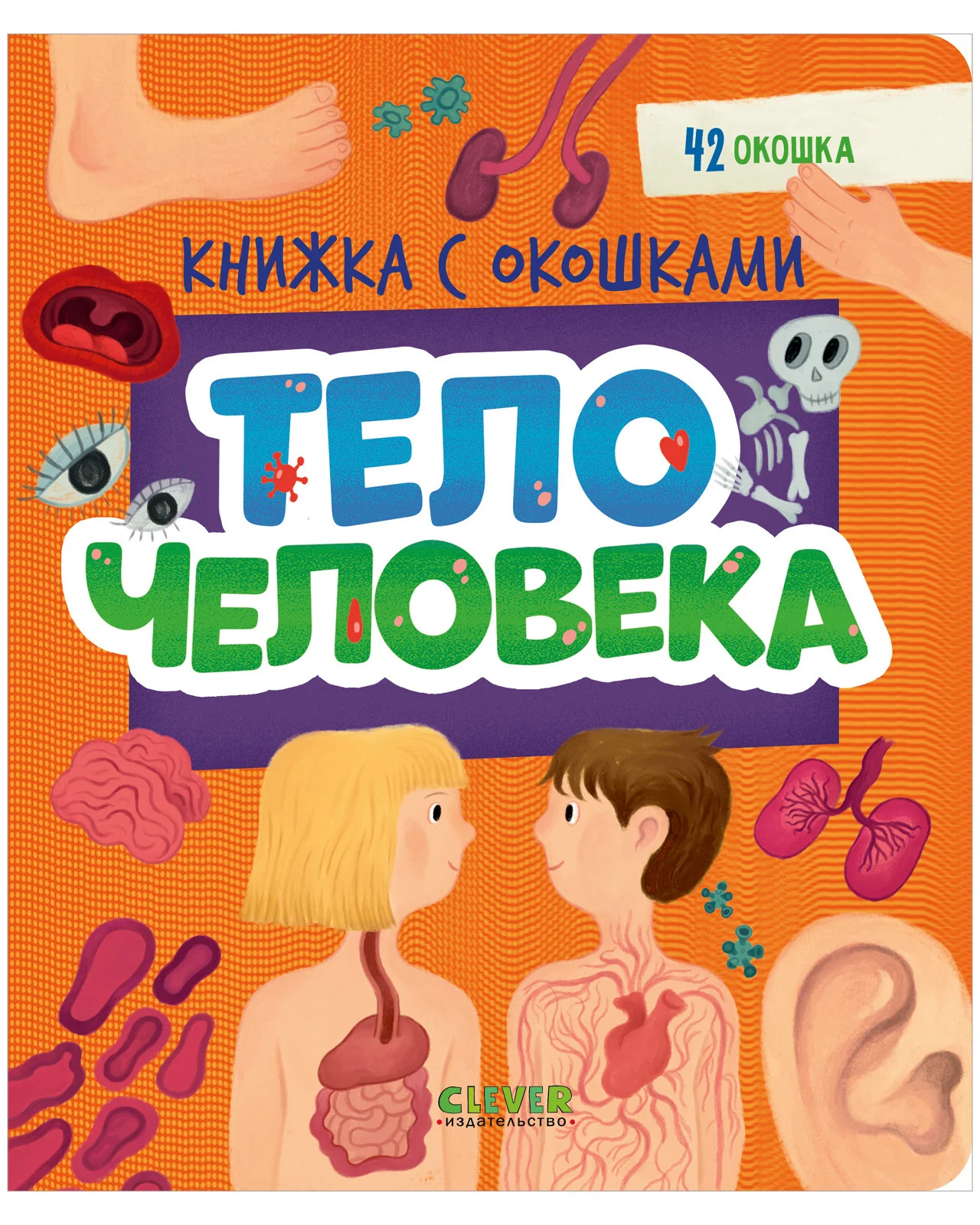 Книжка с окошками. Тело человека - Image 10