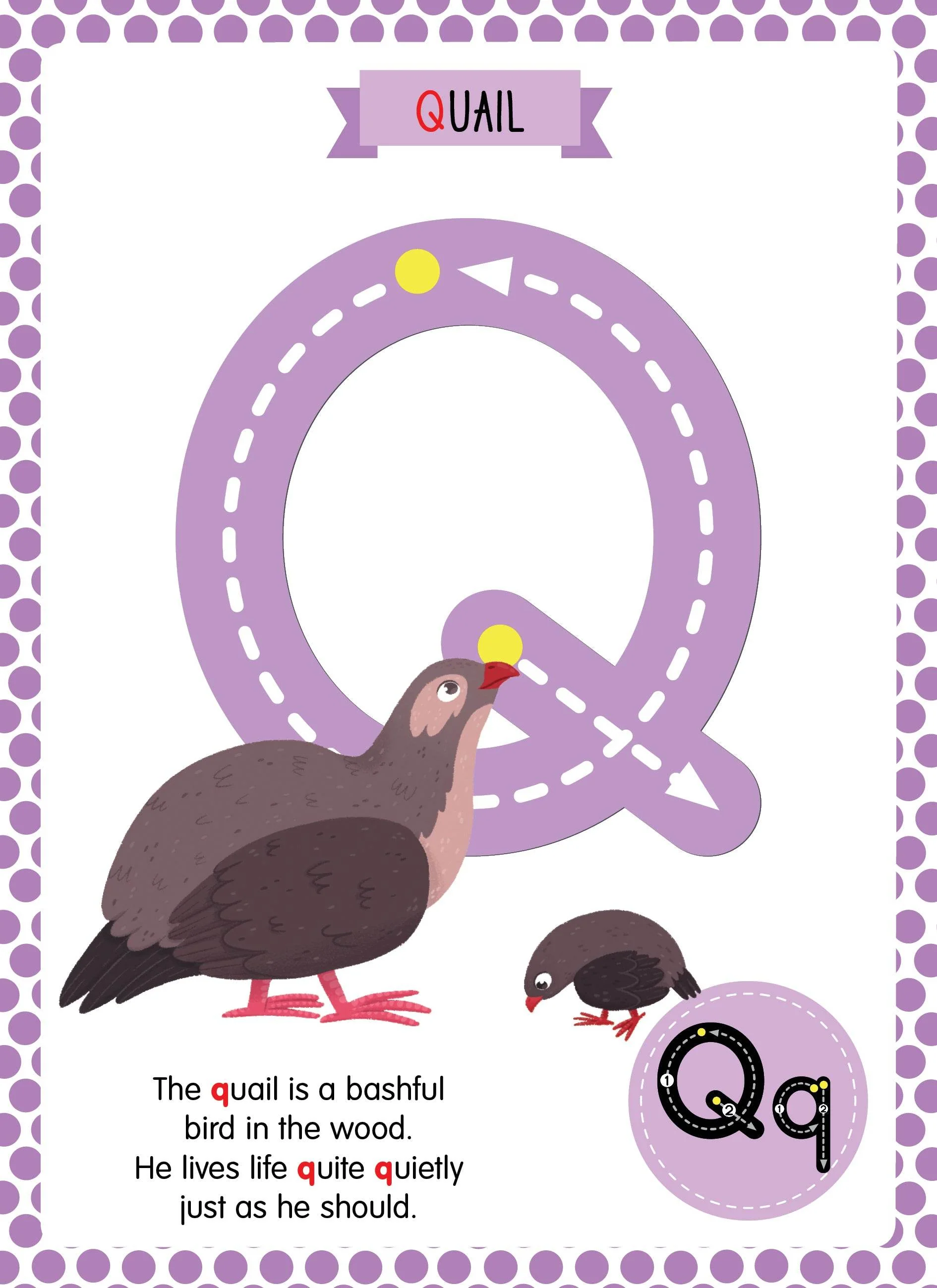 ABCs - Image 6