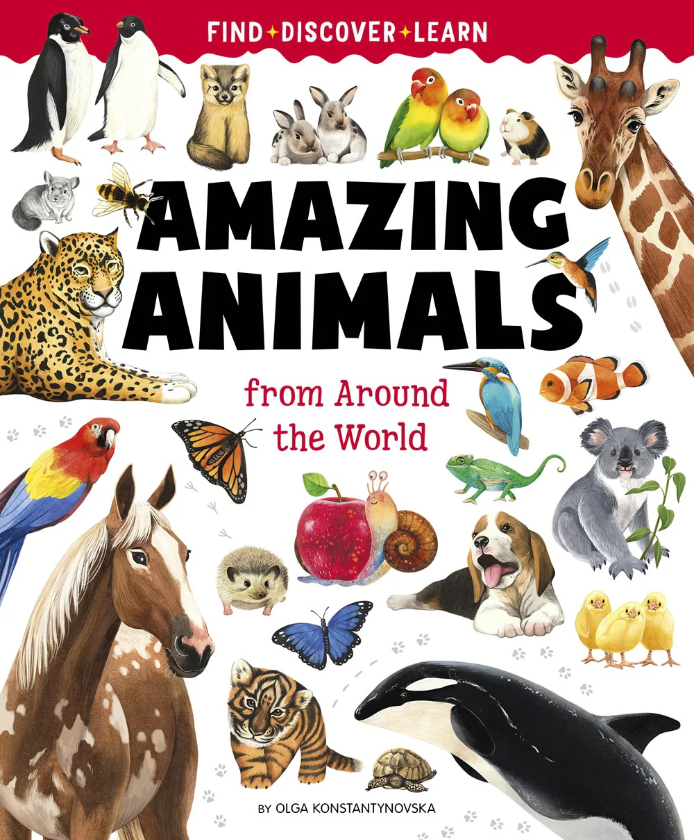 Amazing Animals