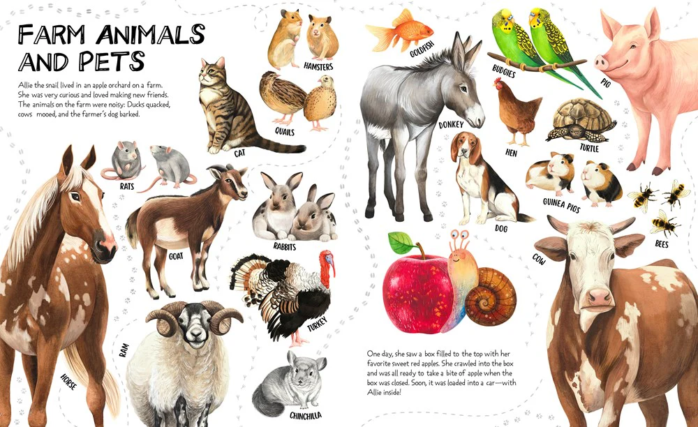 Amazing Animals - Image 2