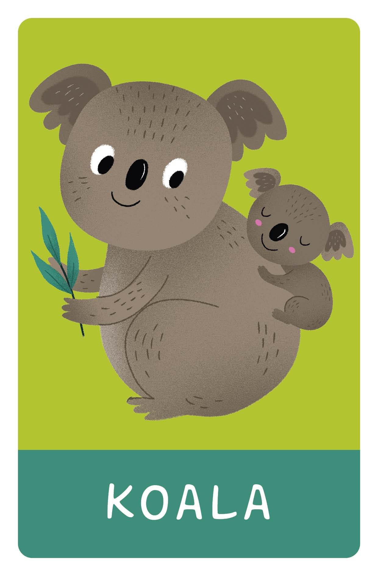 Animal Words. 50 Flash Cards - Image 6