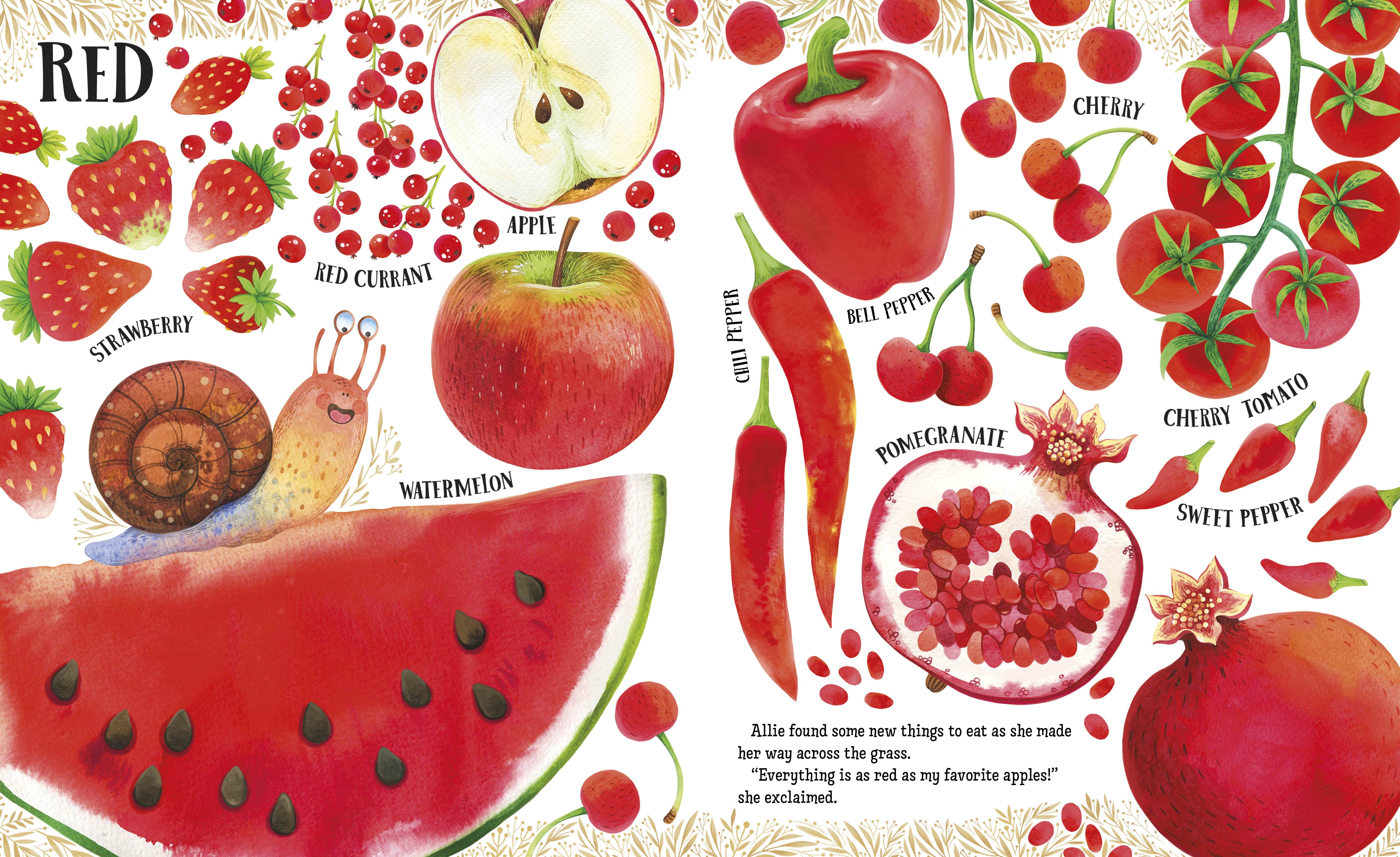 Big Book of Colorful Foods - Image 4