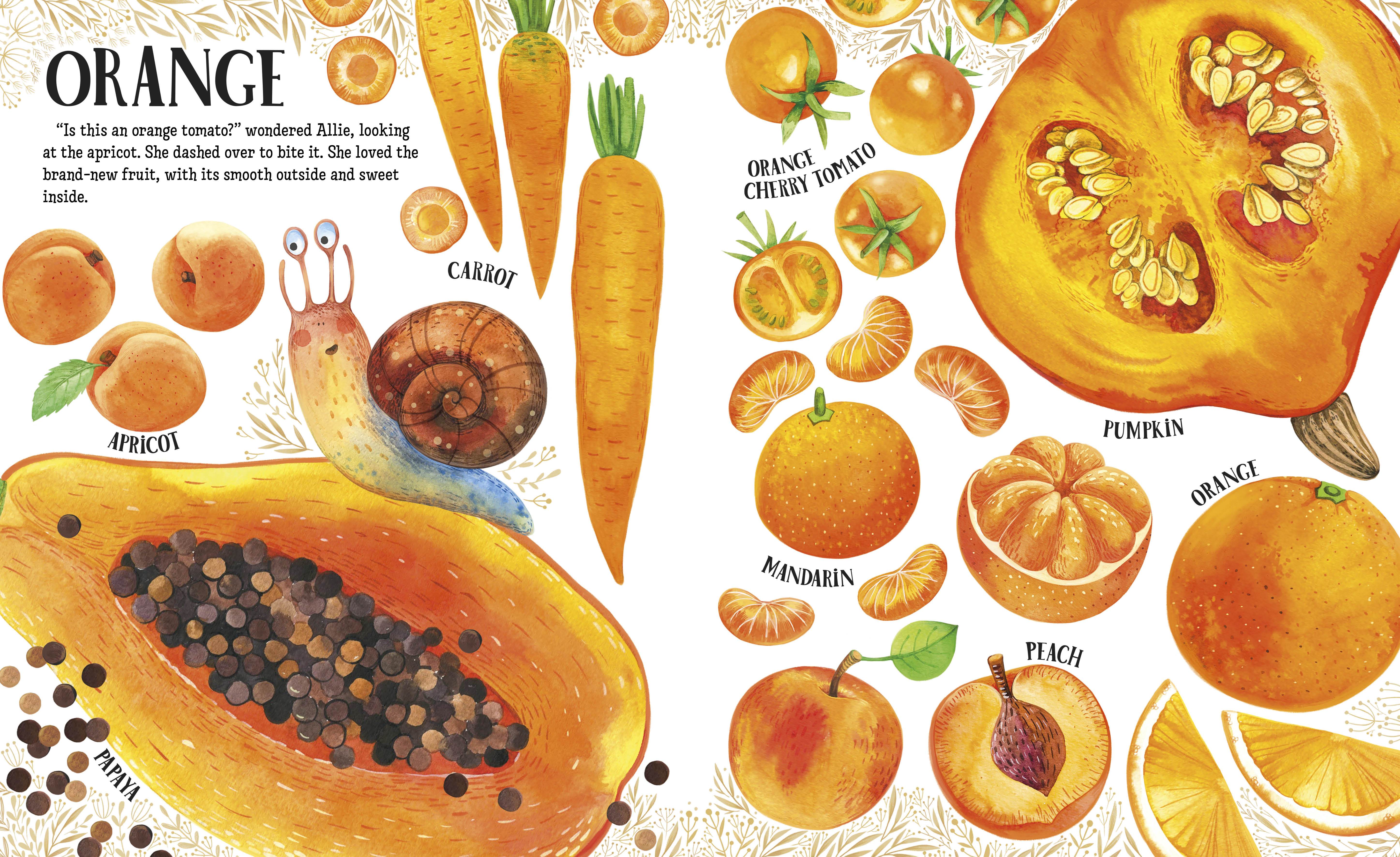 Big Book of Colorful Foods - Image 5