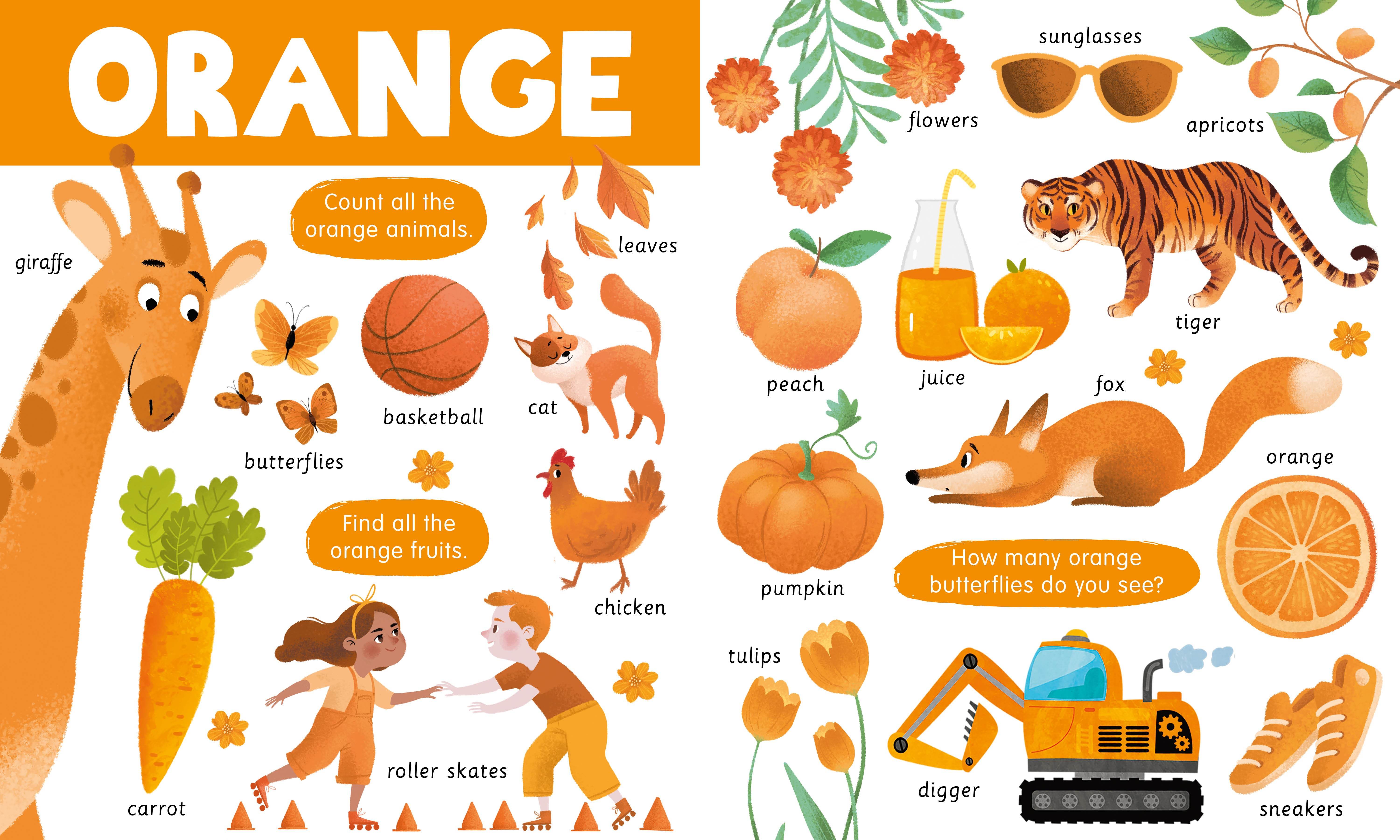 Big Book of Colors - Image 6