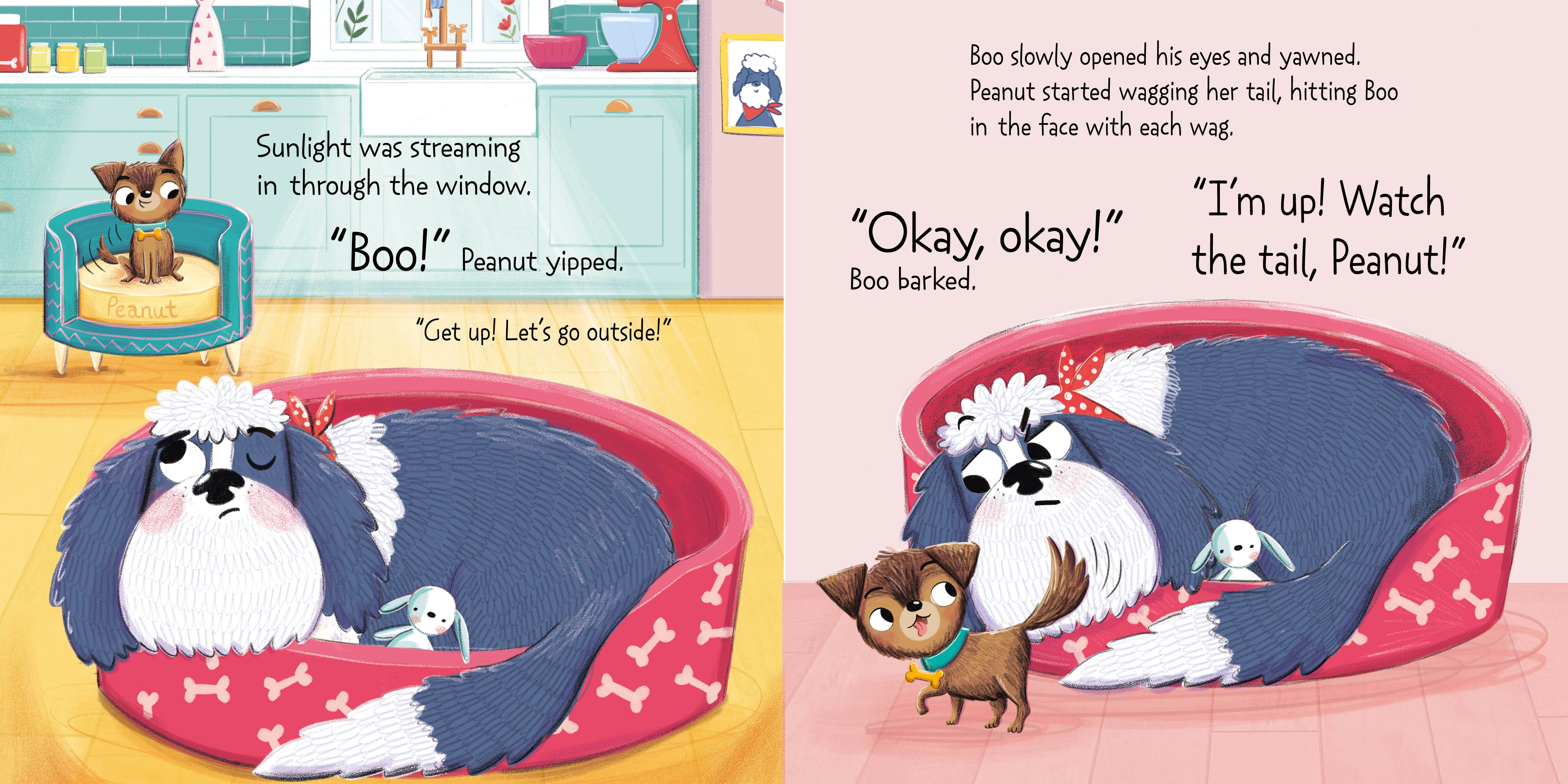 Boo and Peanut: Dog Training Disaster - Image 3