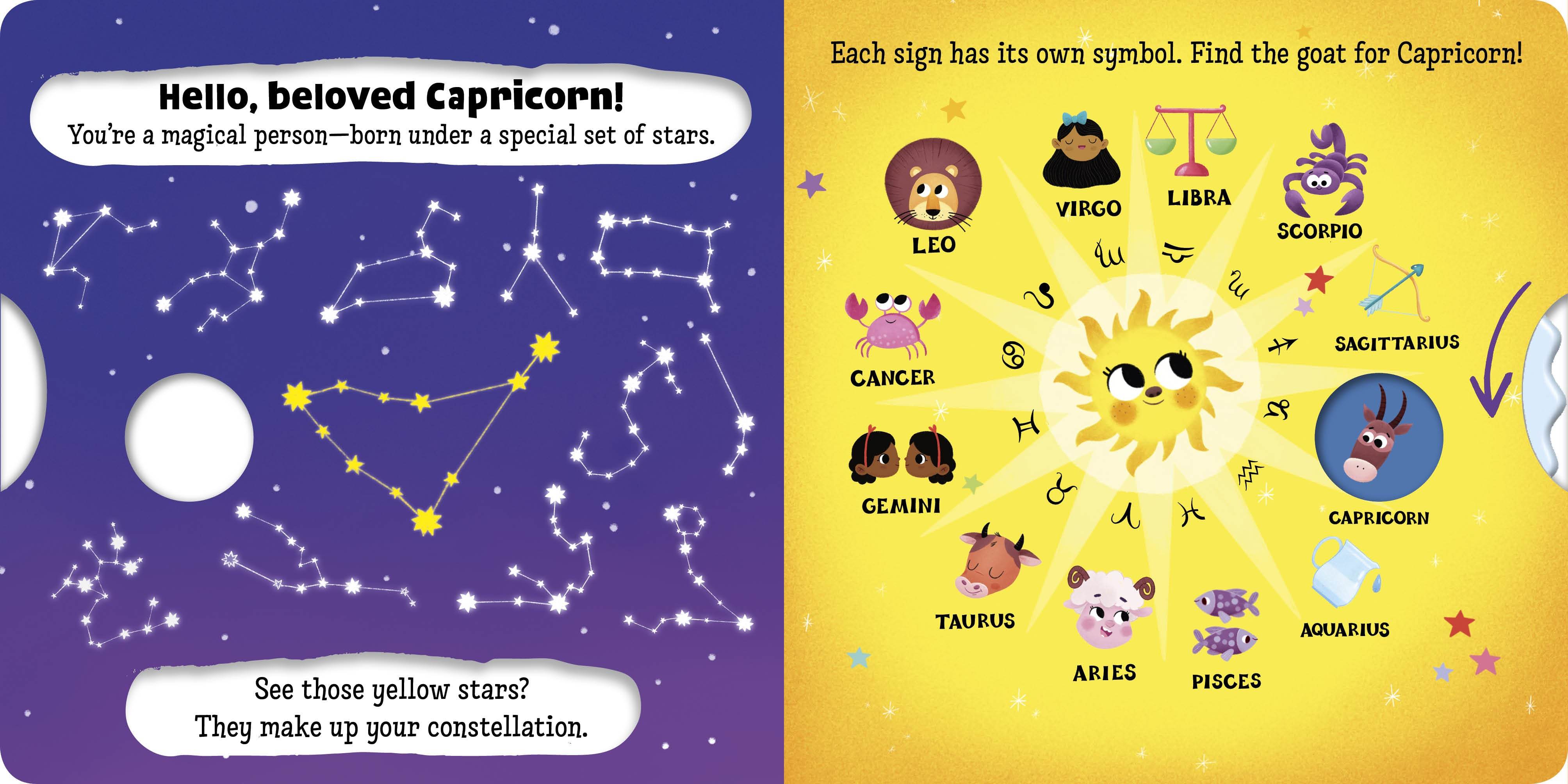 Capricorn - Image 2