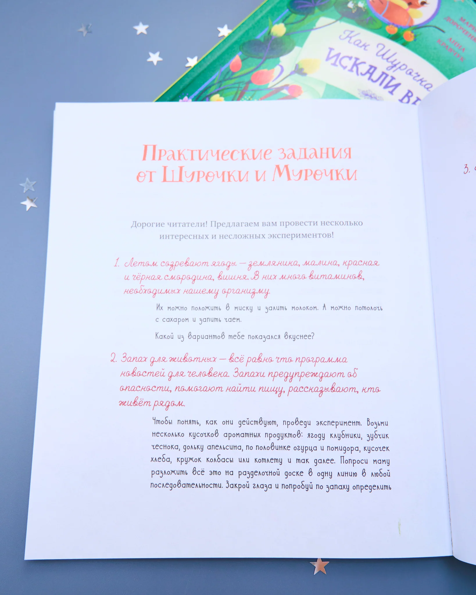 CLEVER-чтение. Как Шурочка и Мурочка искали выхухоль (мягкая обложка) - Image 17