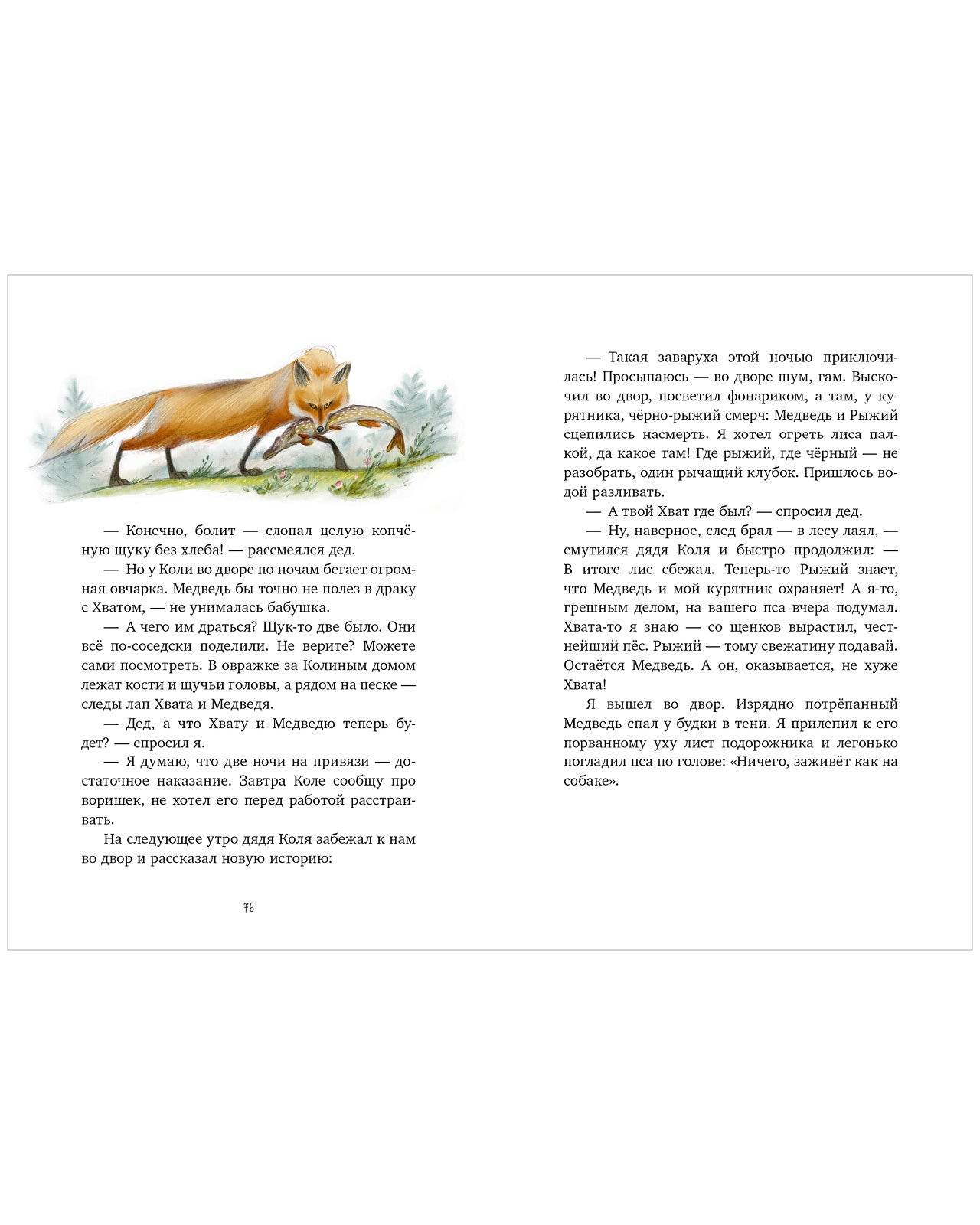 Приключения в Гусиных Лапках - CLEVER-чтение - Image 14