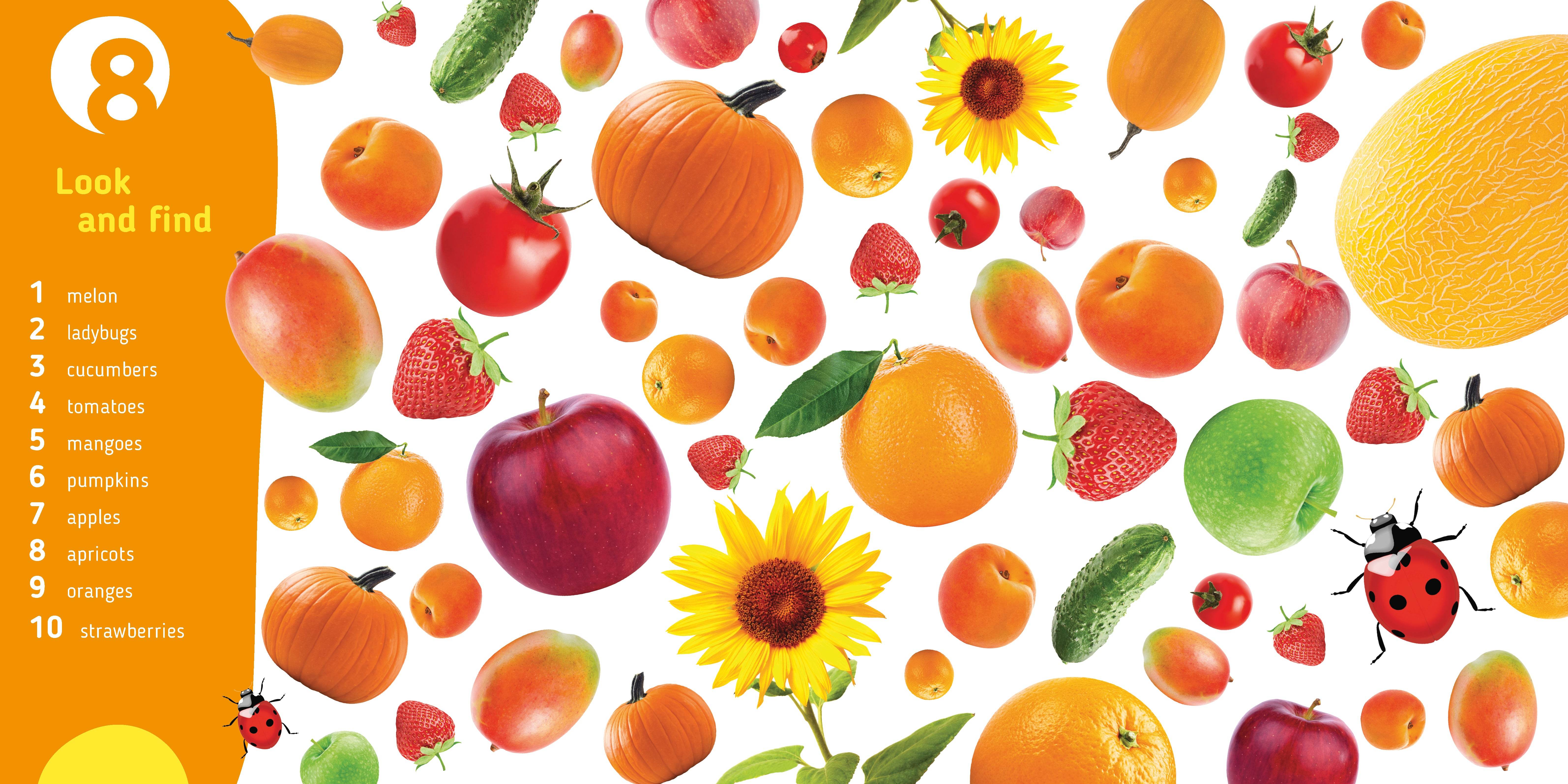 Clever Colors Photo Book - Image 7