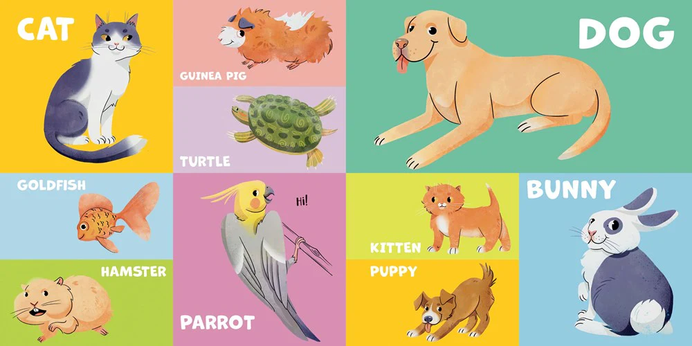 First 100 Animals - Image 2