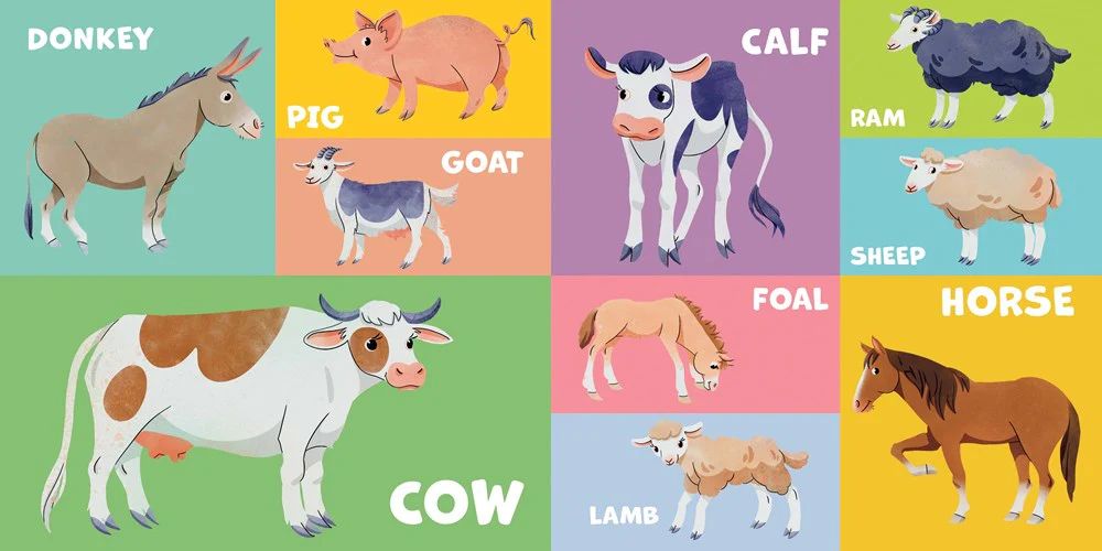 First 100 Animals - Image 3