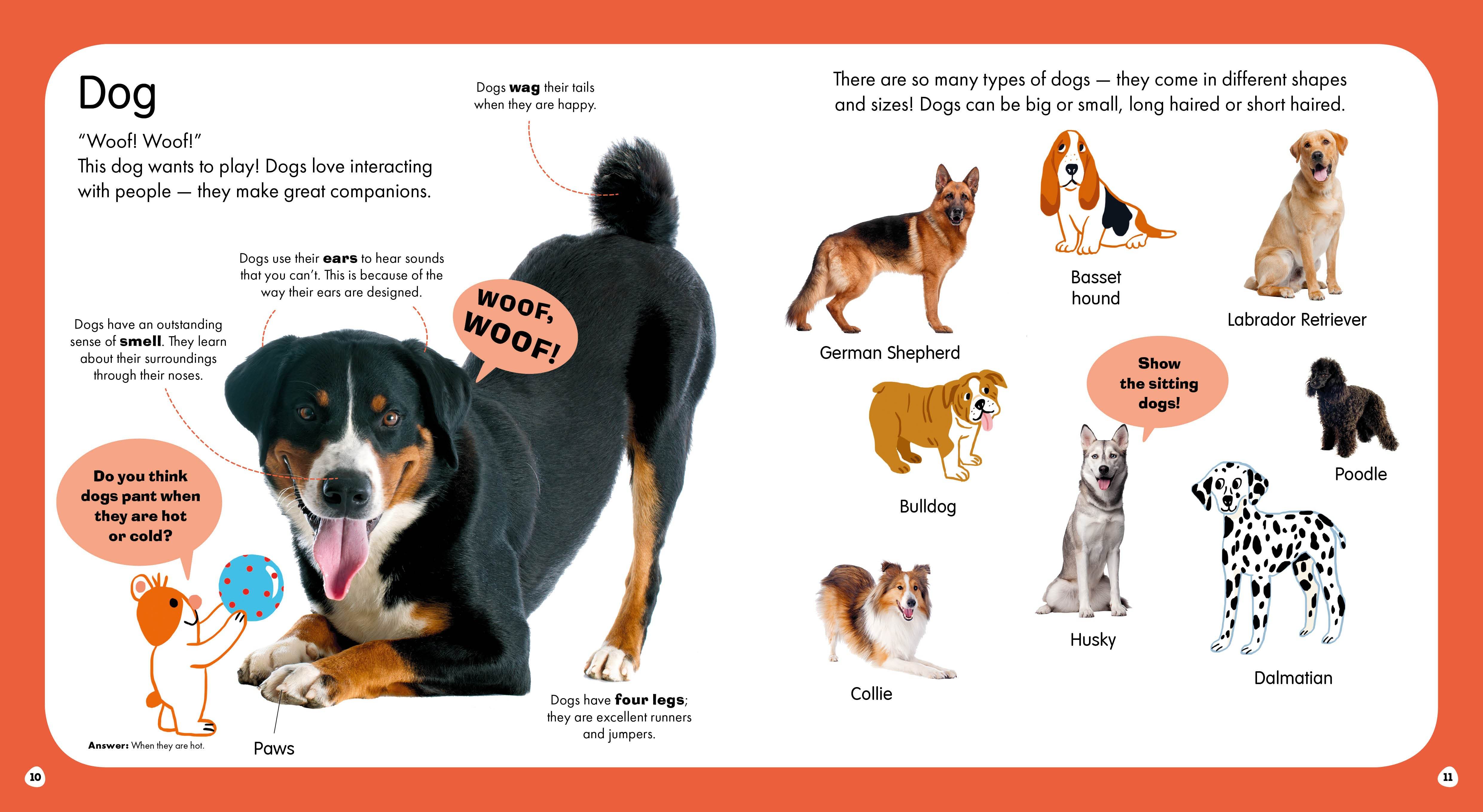 First Animals - Image 7
