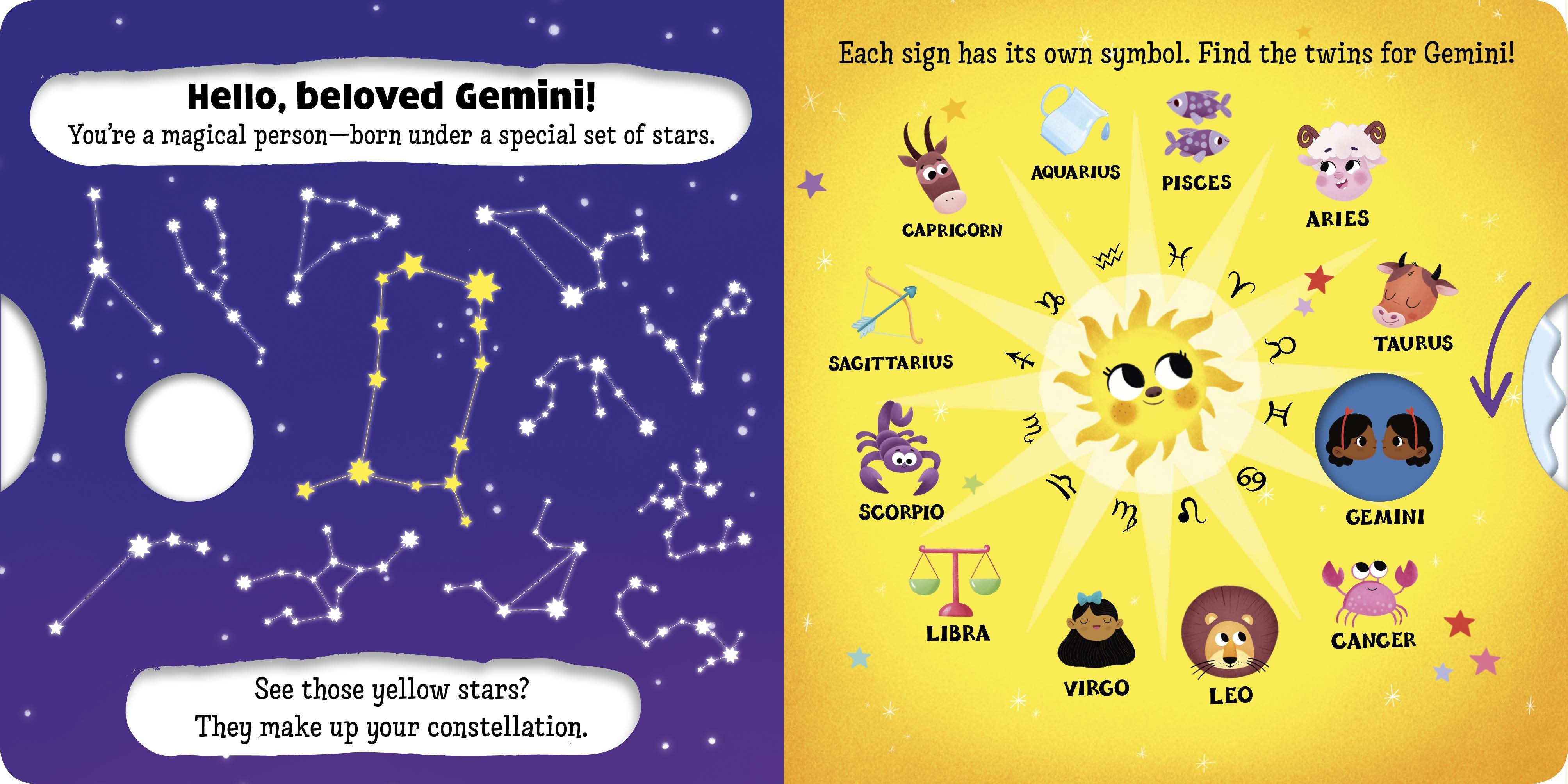 Gemini - Image 2