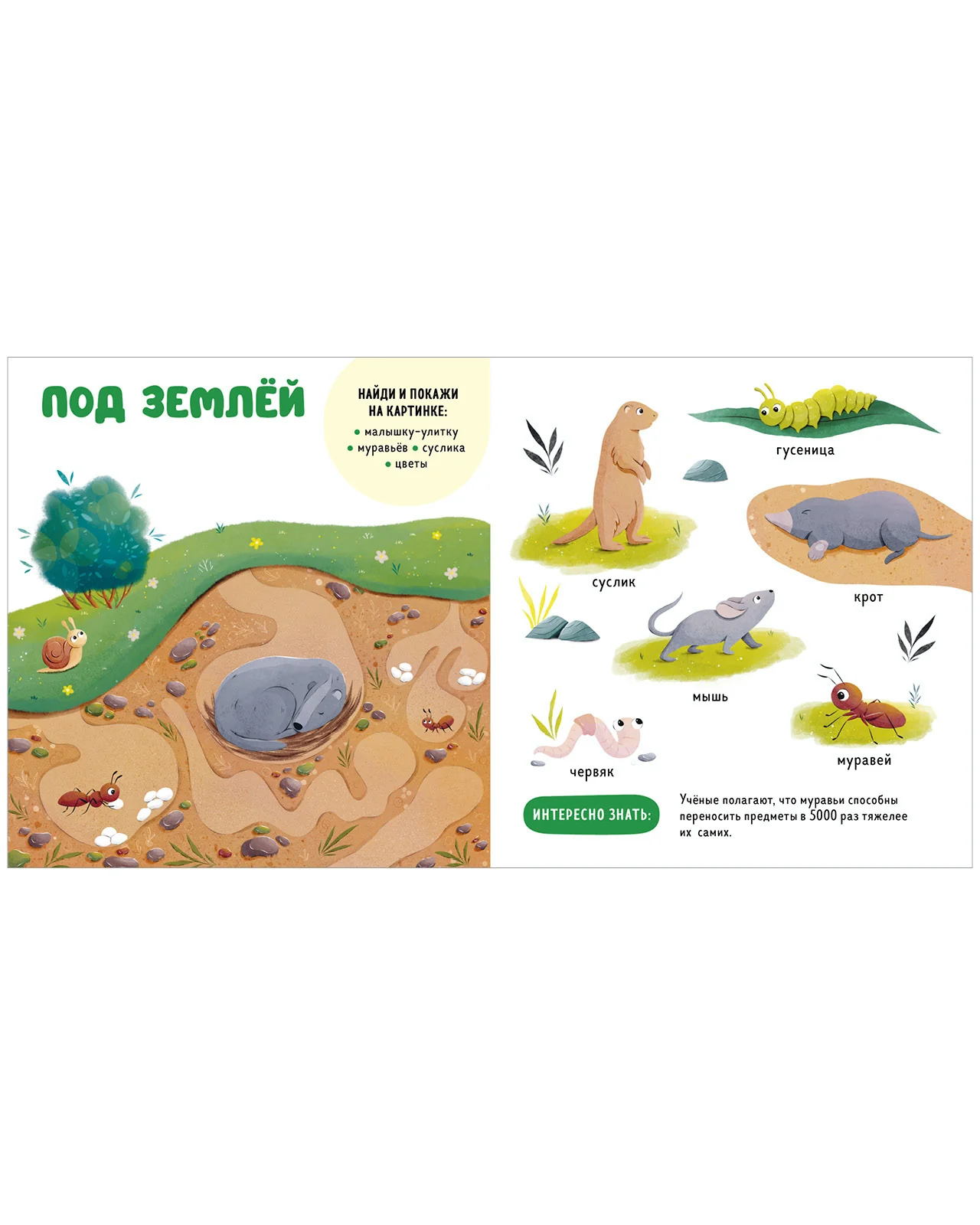 Главная книга малыша. Прогулки по лесу - Image 11