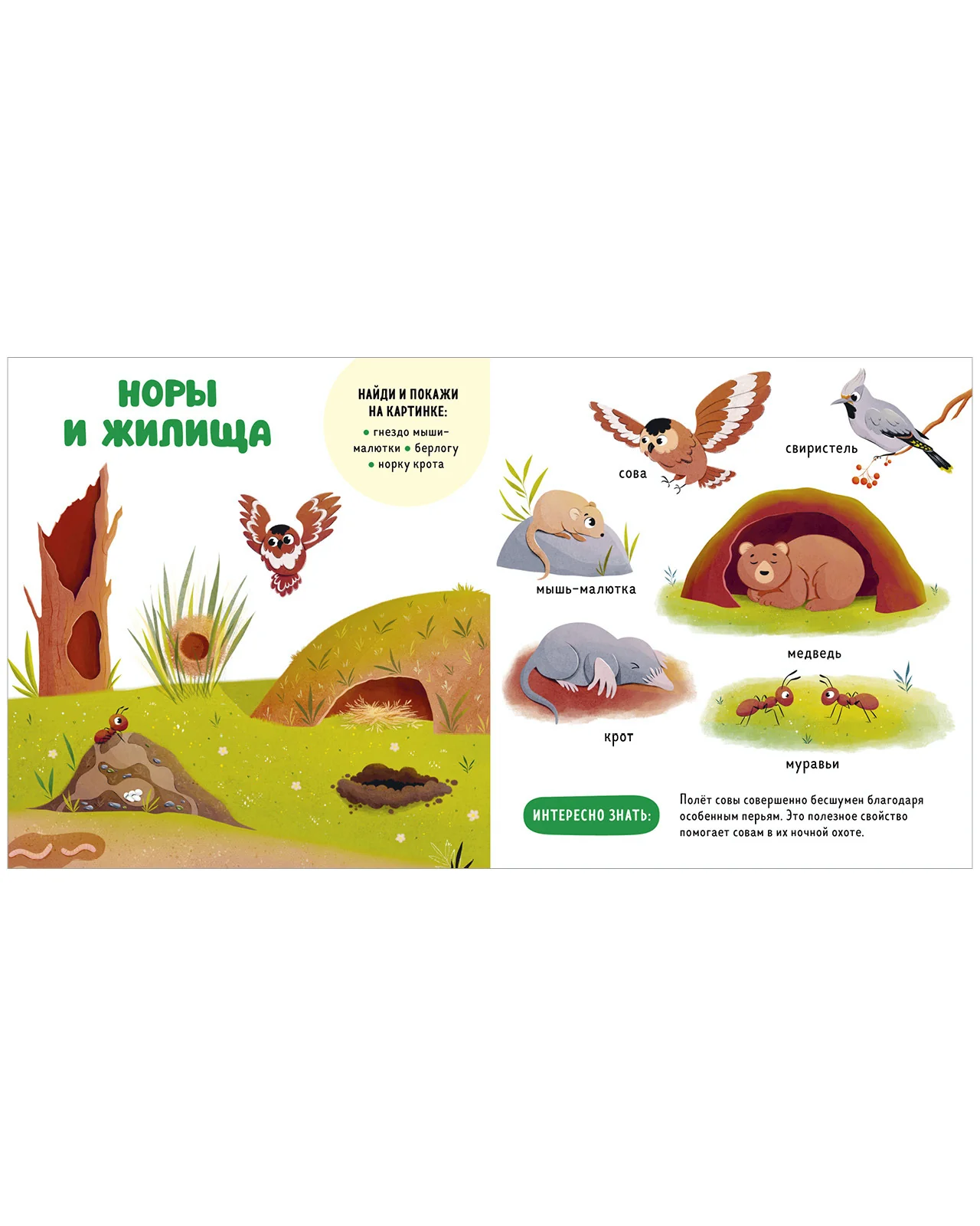 Главная книга малыша. Прогулки по лесу - Image 13