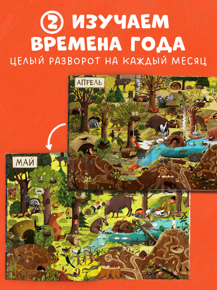 Год в лесу. Найди и покажи - Image 5