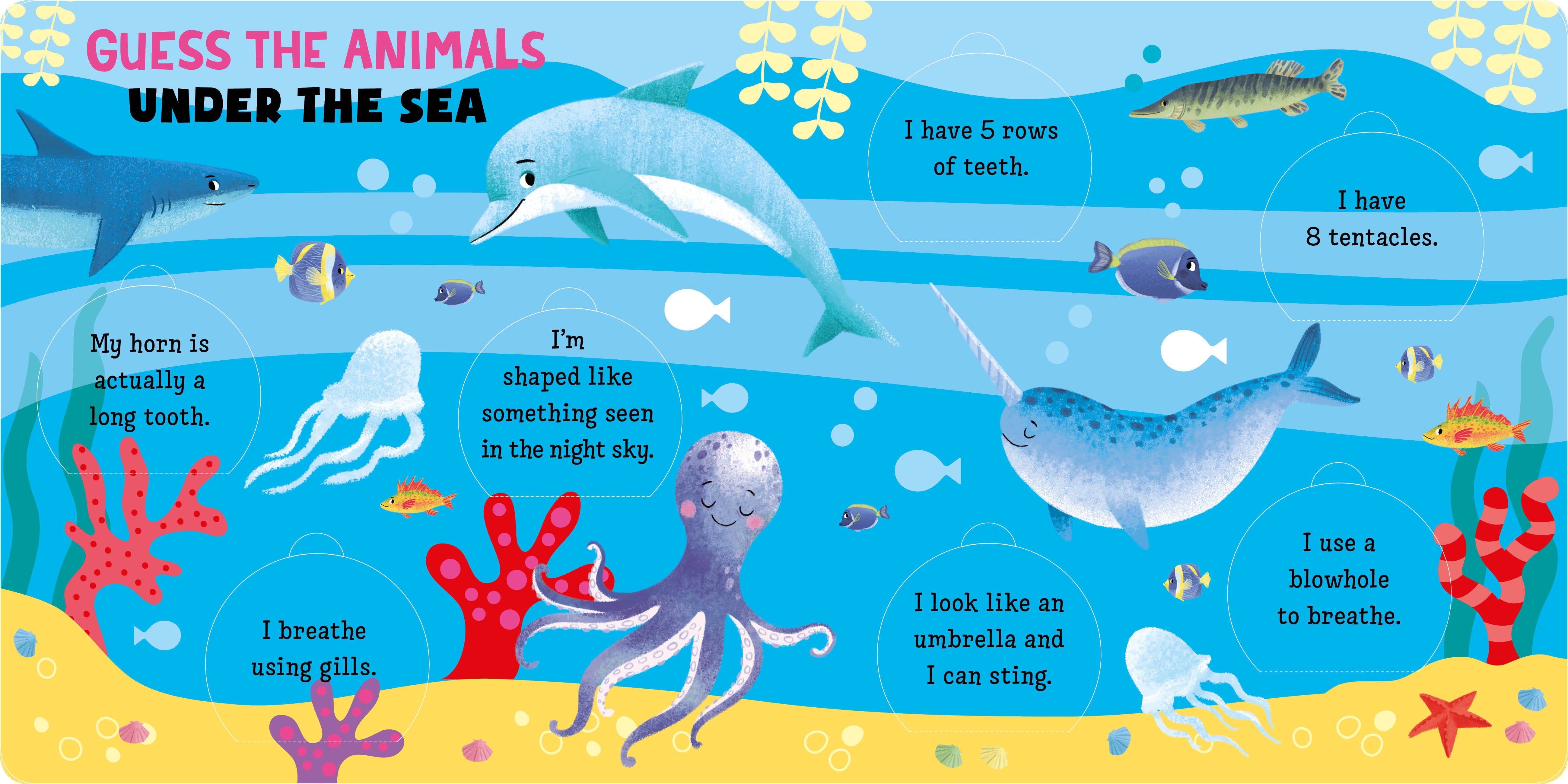 Guess the Animals - Image 5