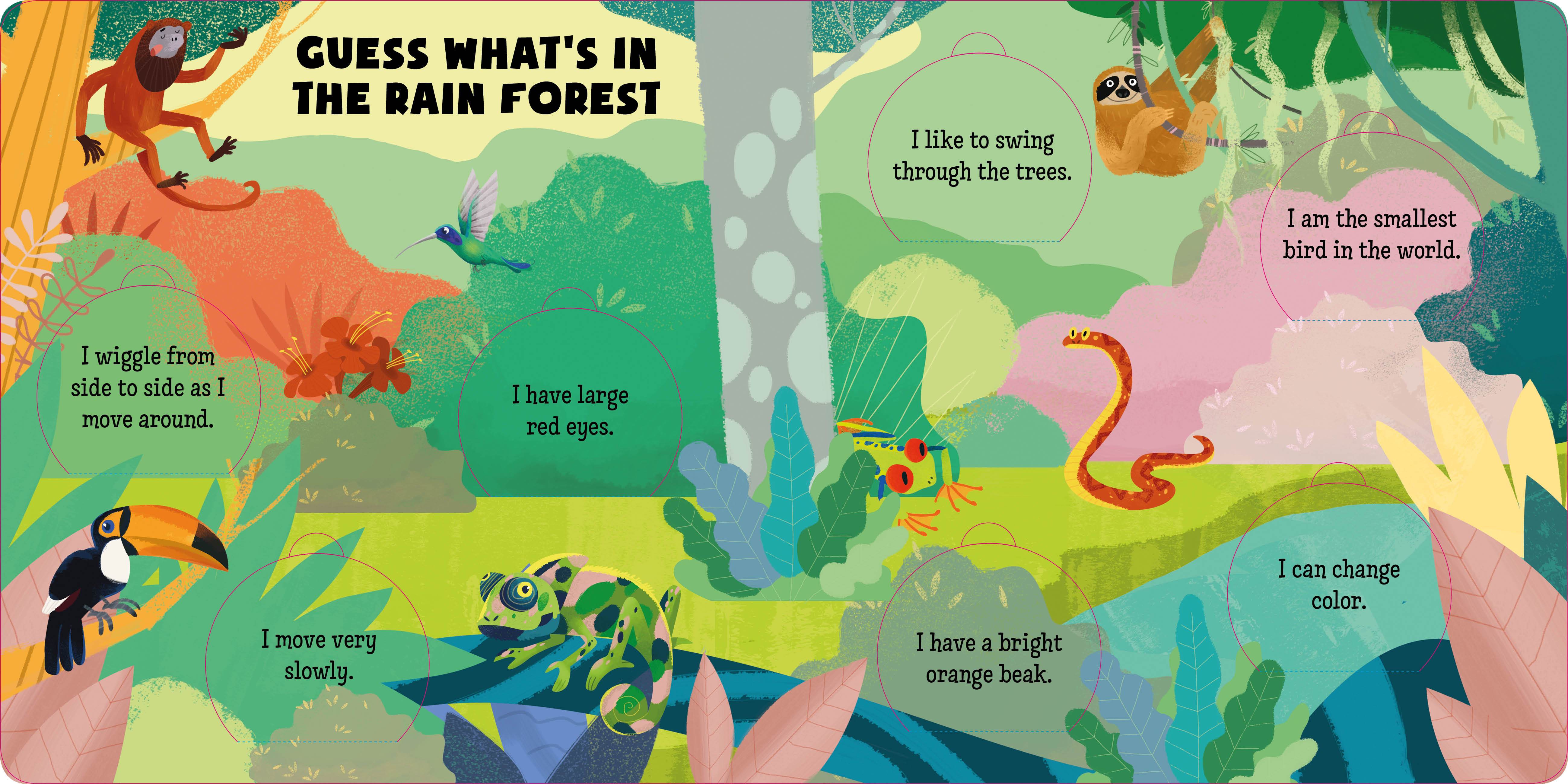 Guess What's in Nature - Image 4