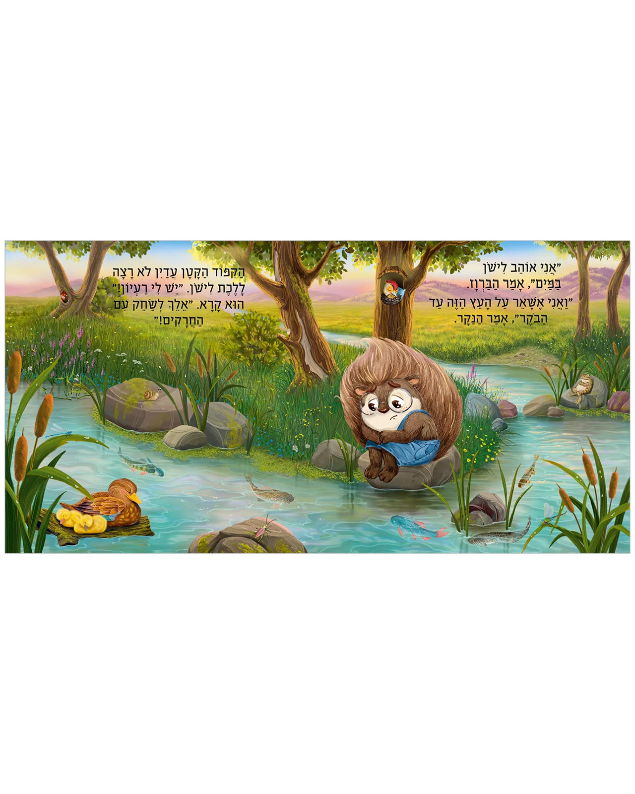 חלומות מתוקים, קיפוד קטן - Image 4