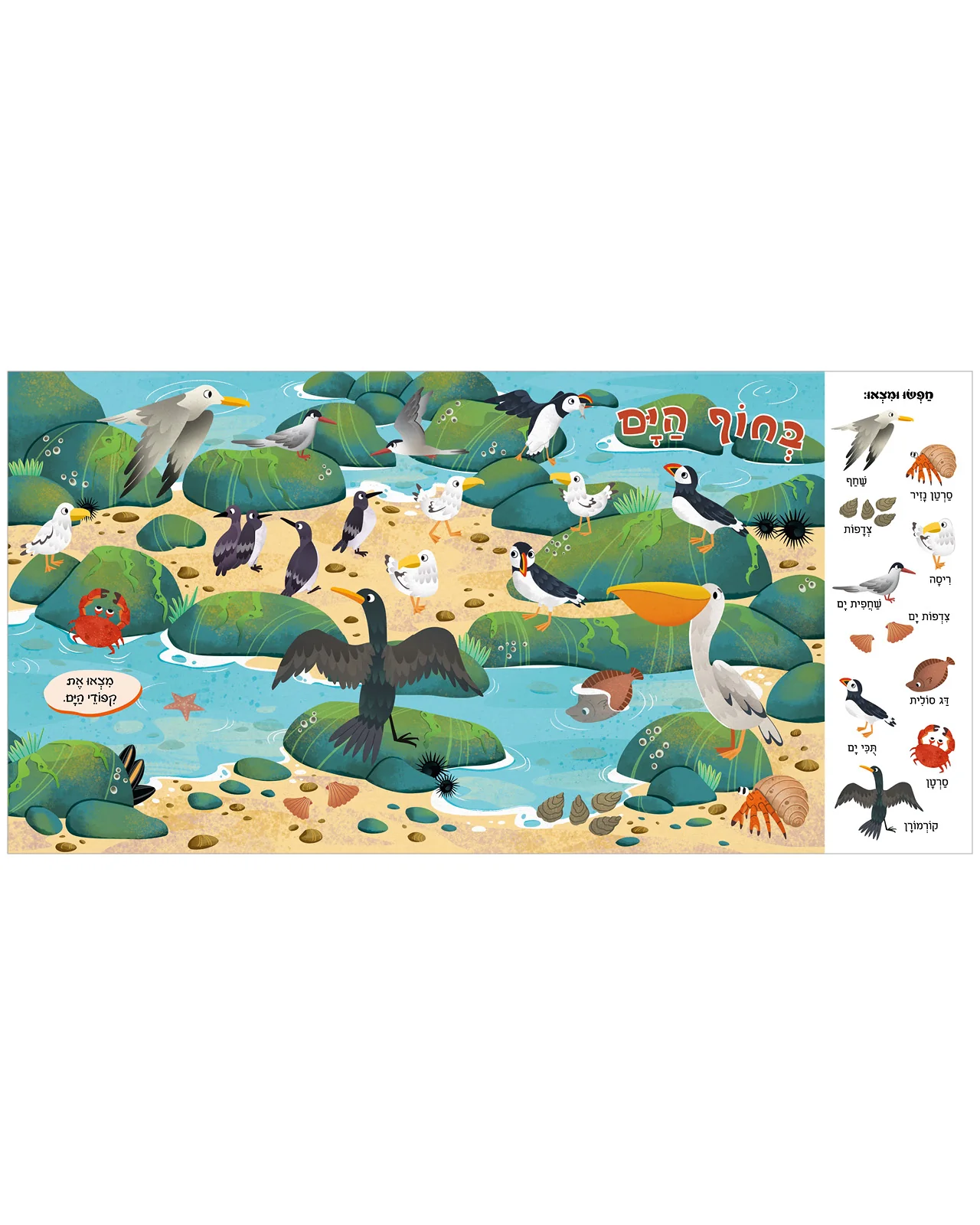 חפשו ומצאו באוקיינוס ובים - Image 4
