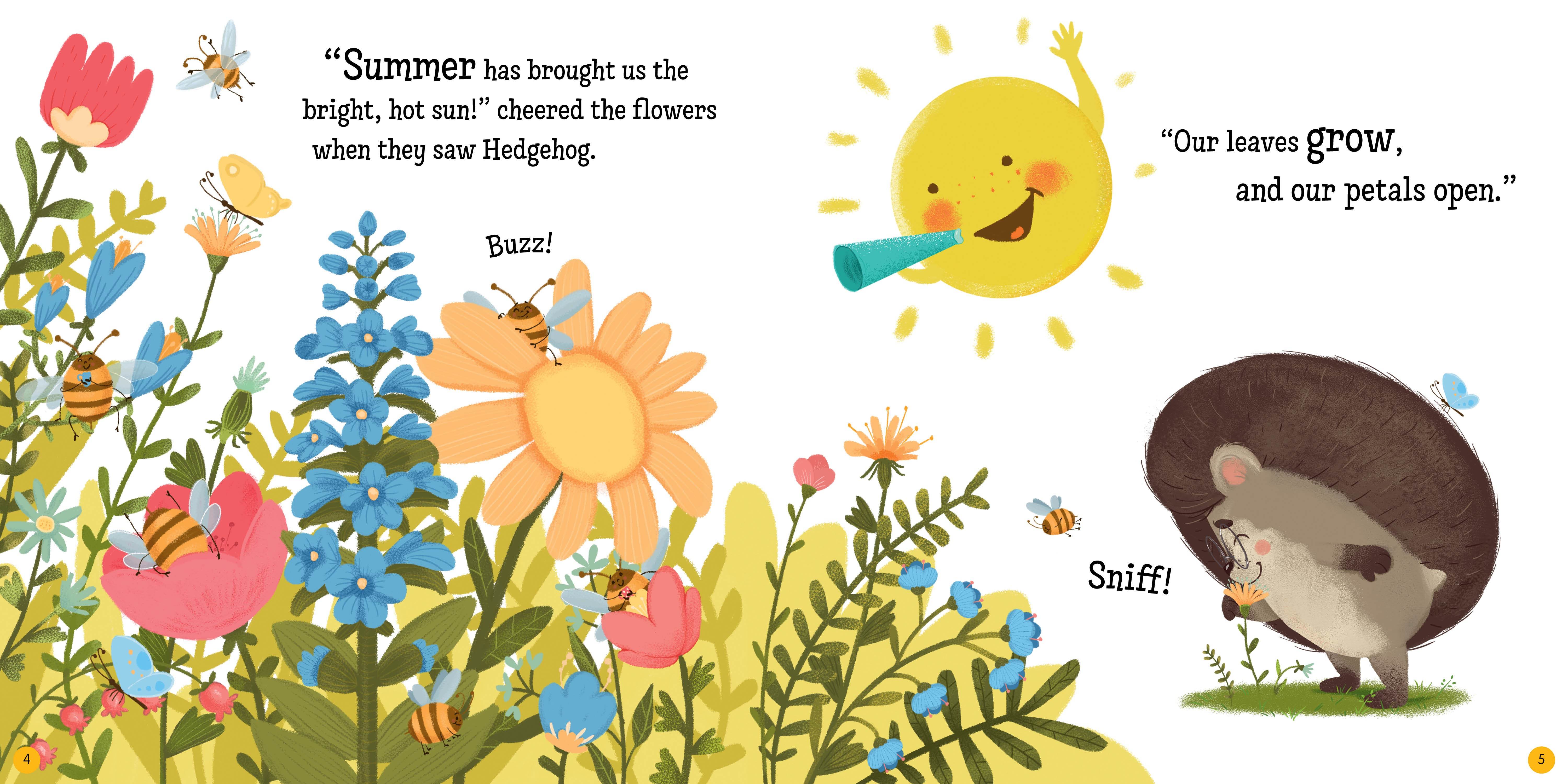Hedgehog's Home for Summer - Image 4