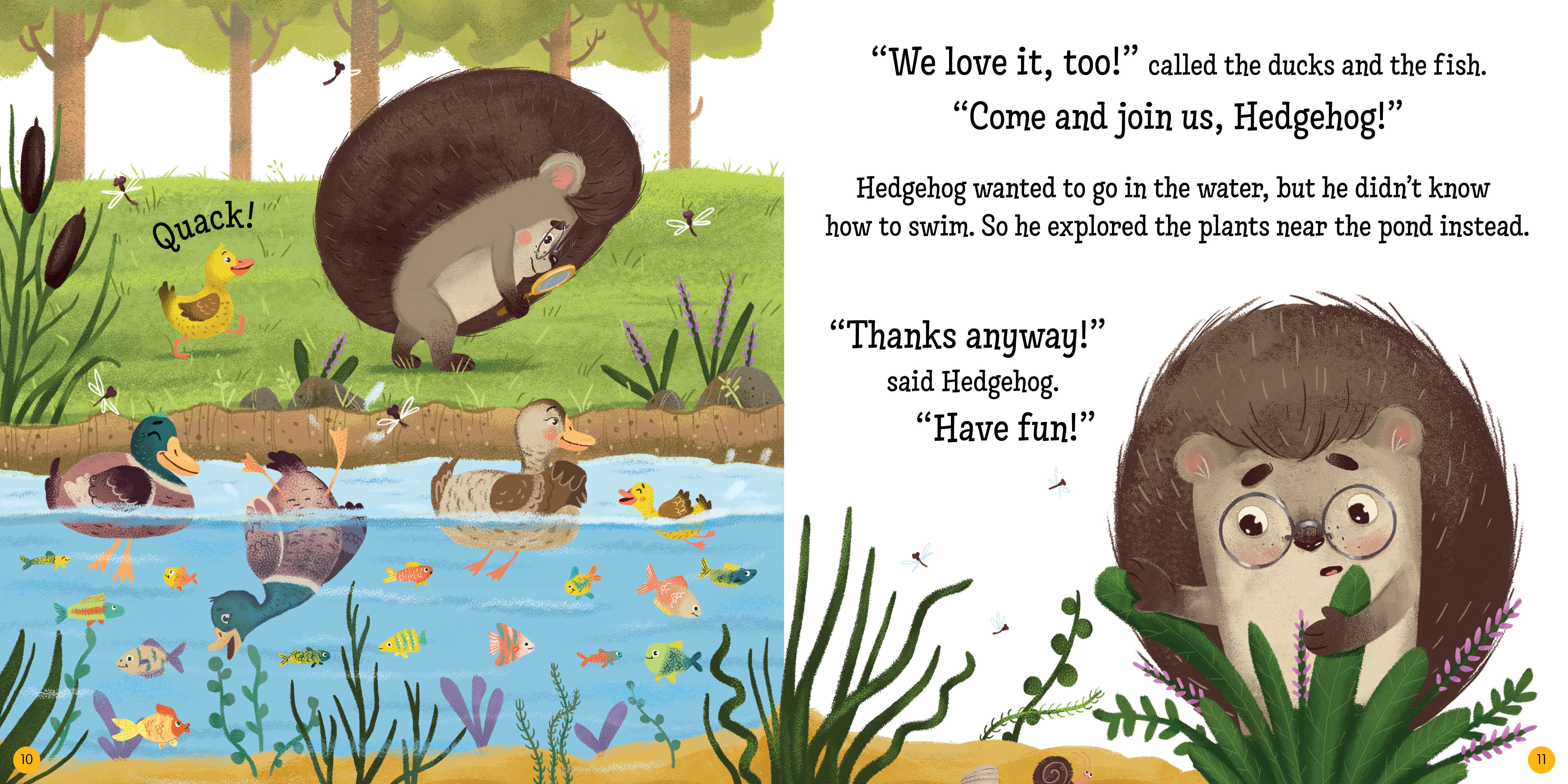 Hedgehog's Home for Summer - Image 7
