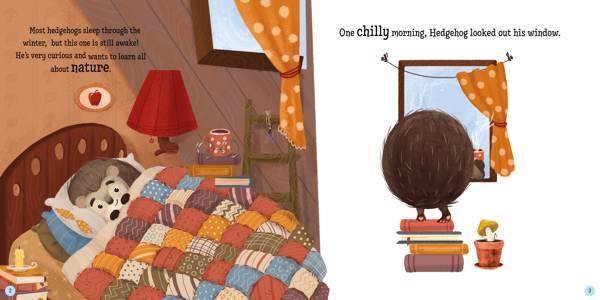 Hedgehog's Home for Winter - Image 2