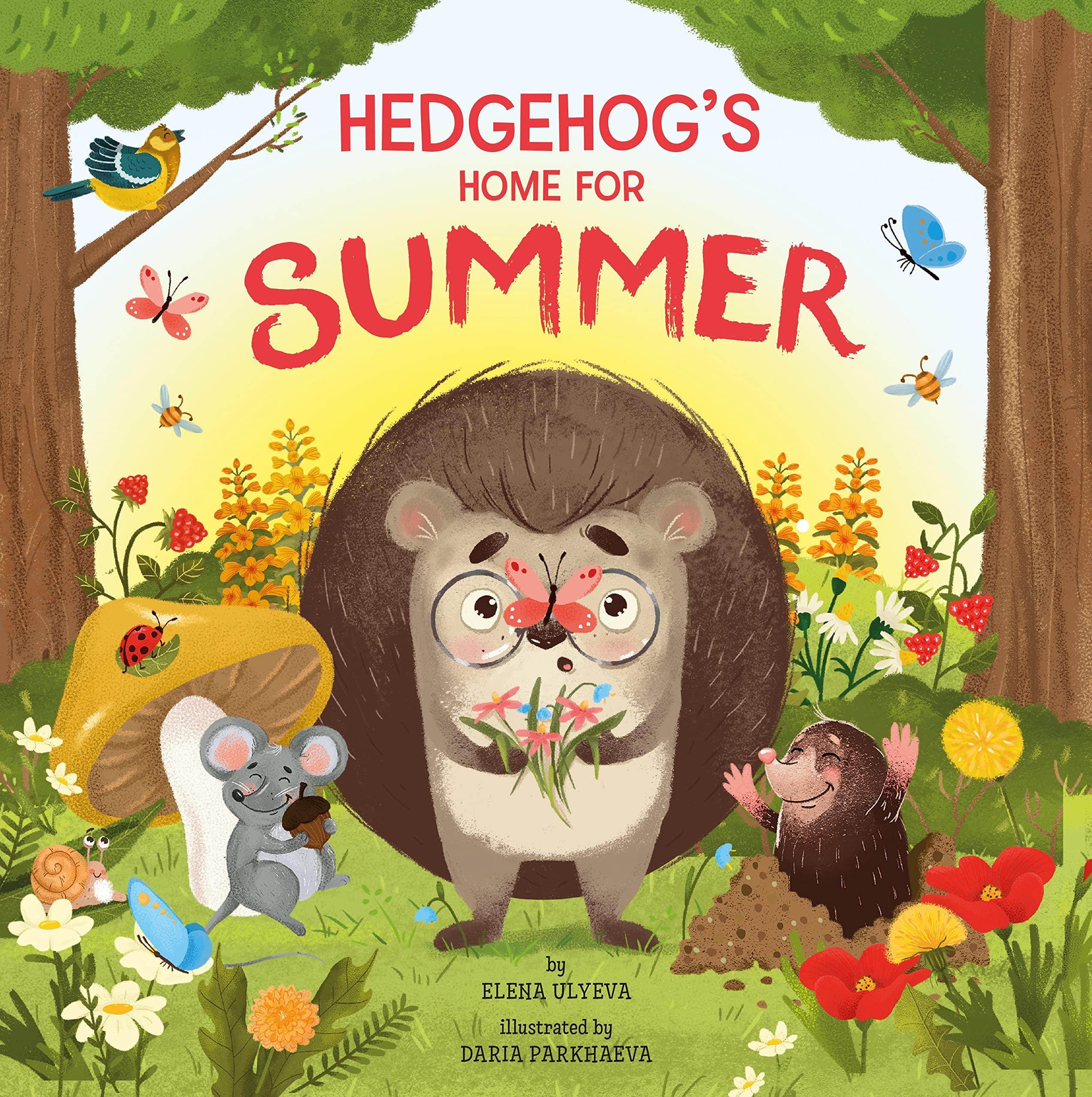 Hedgehog’s Home for Summer. Paperback
