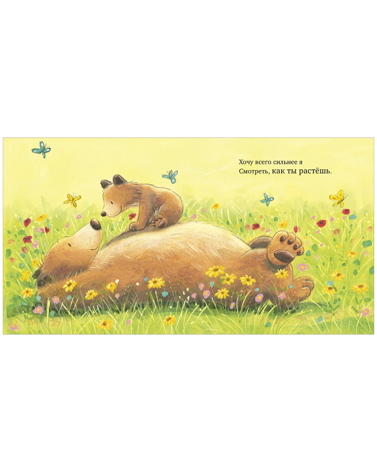 Книжки-картинки. Моя любовь к тебе бесконечна - Image 21