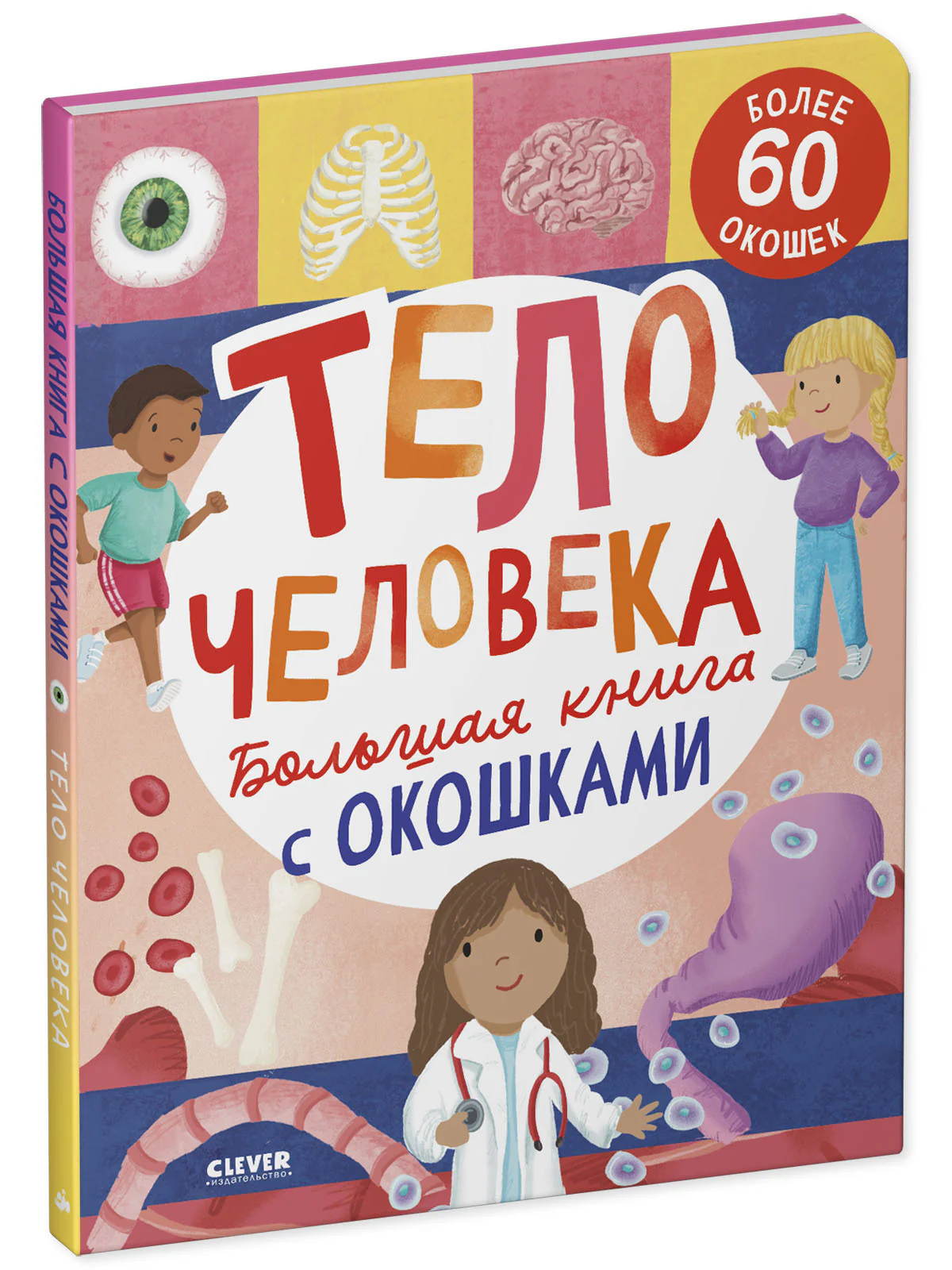 Большая книга с окошками. Тело человека - Image 11