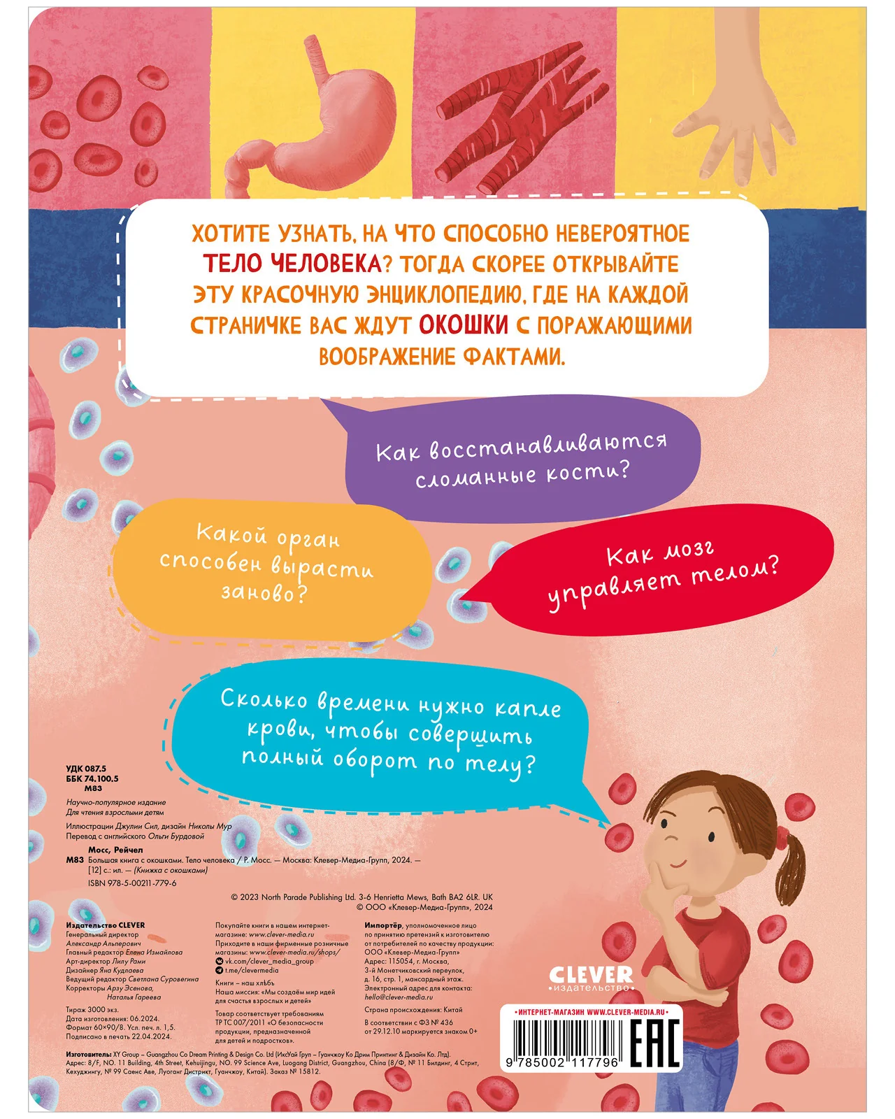 Большая книга с окошками. Тело человека - Image 17